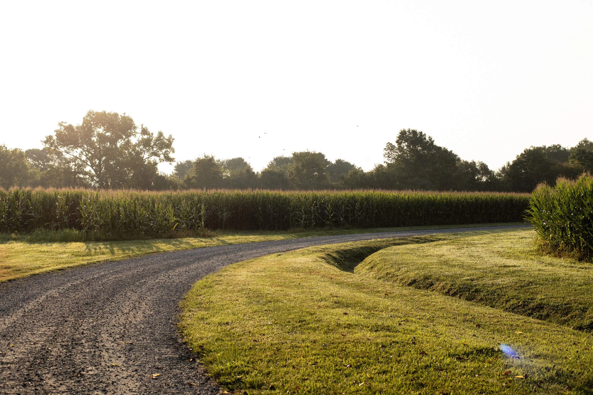 1018_THEFARM_WEBSITE_PROPERTY-3web (1).jpg