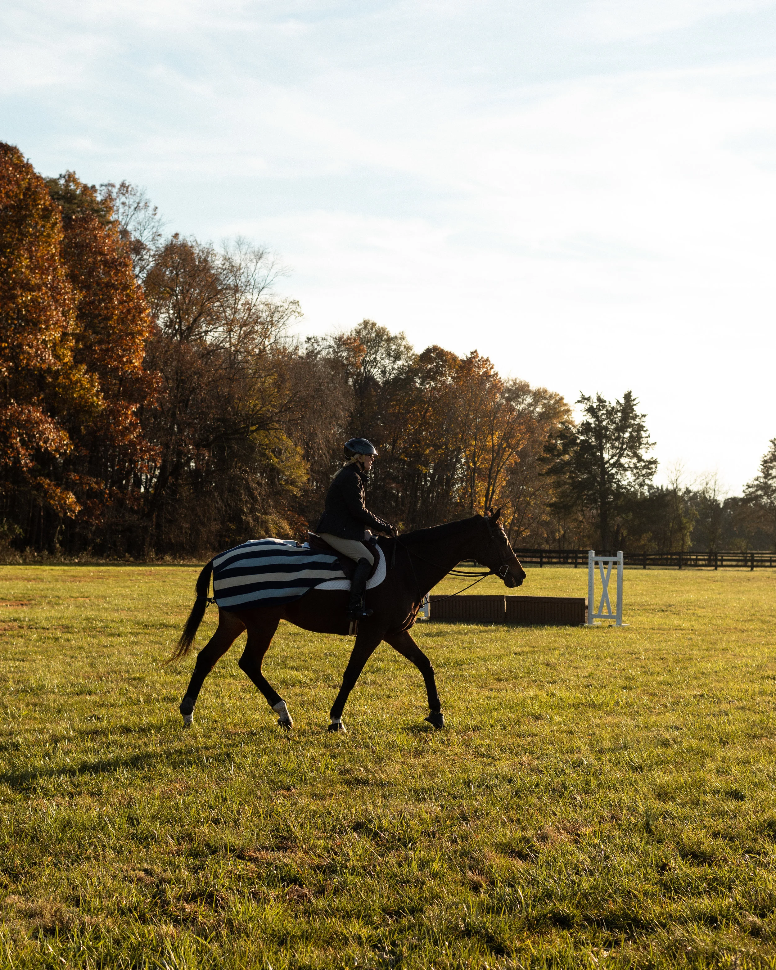 1118_THEFARM-97.jpg