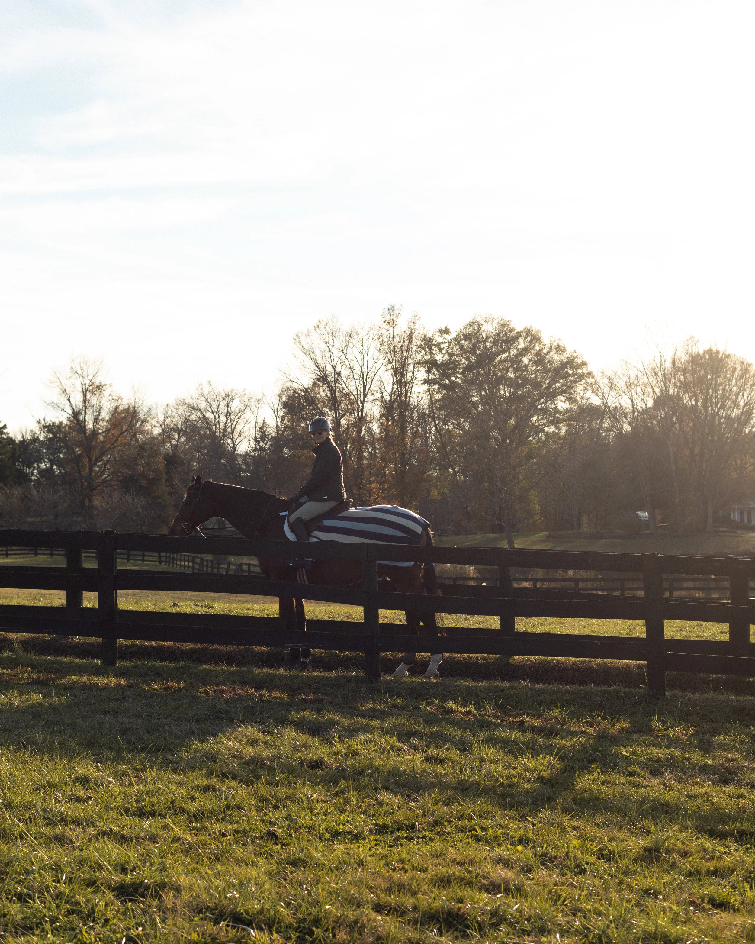 1118_THEFARM-94.jpg