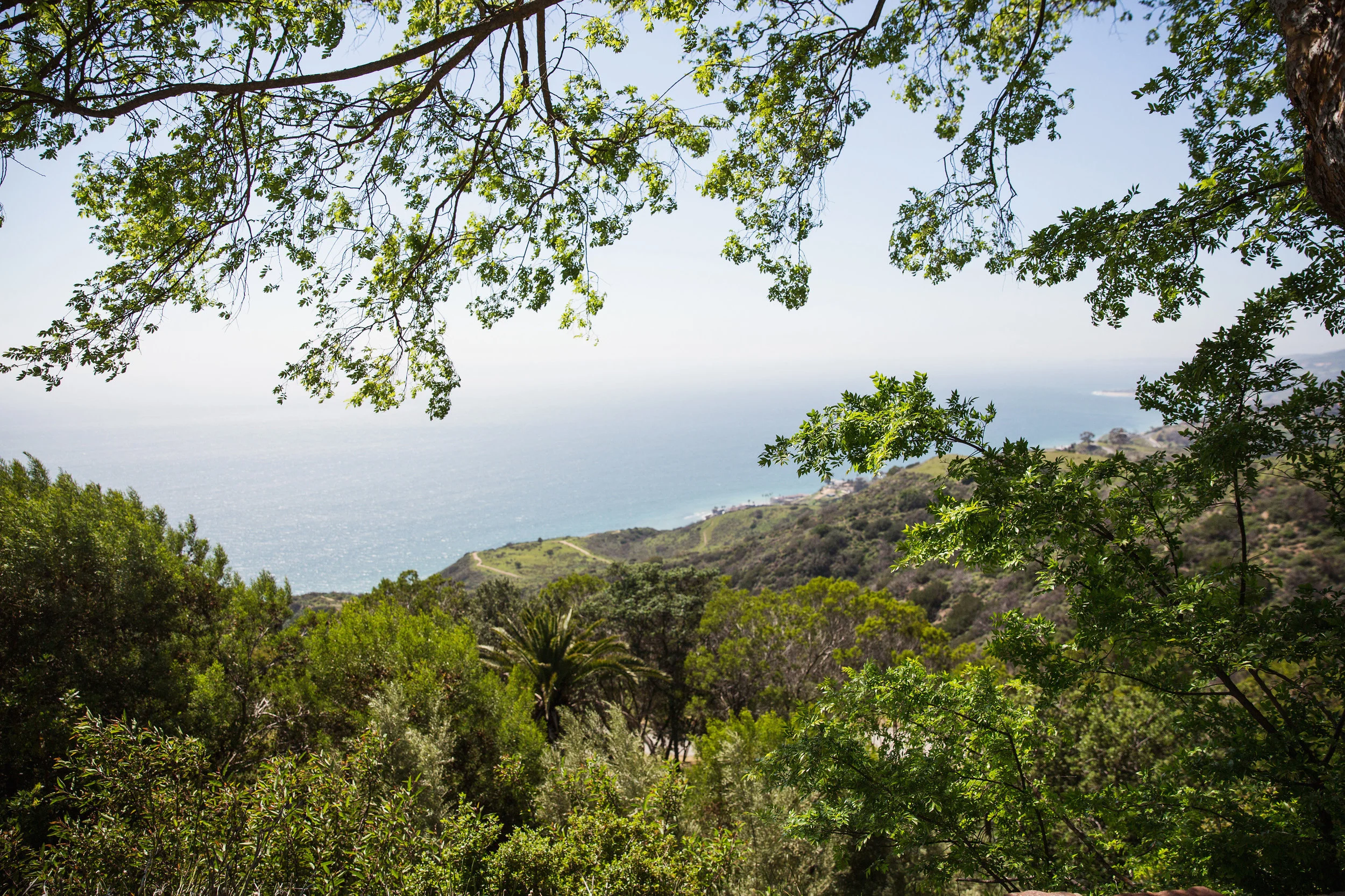Malibu_128.jpg