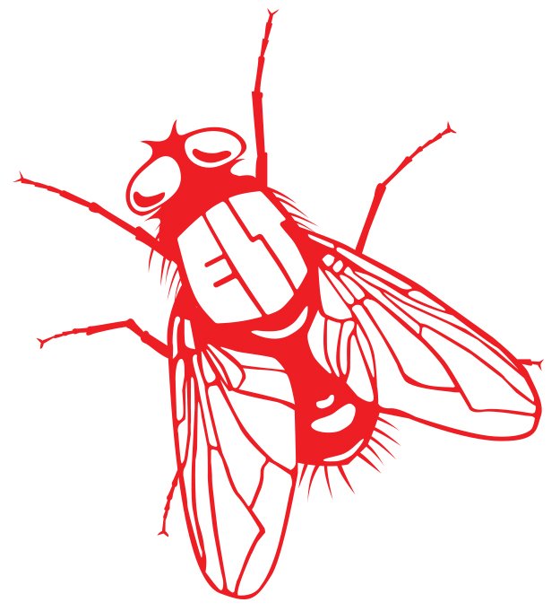 ELT Illustration