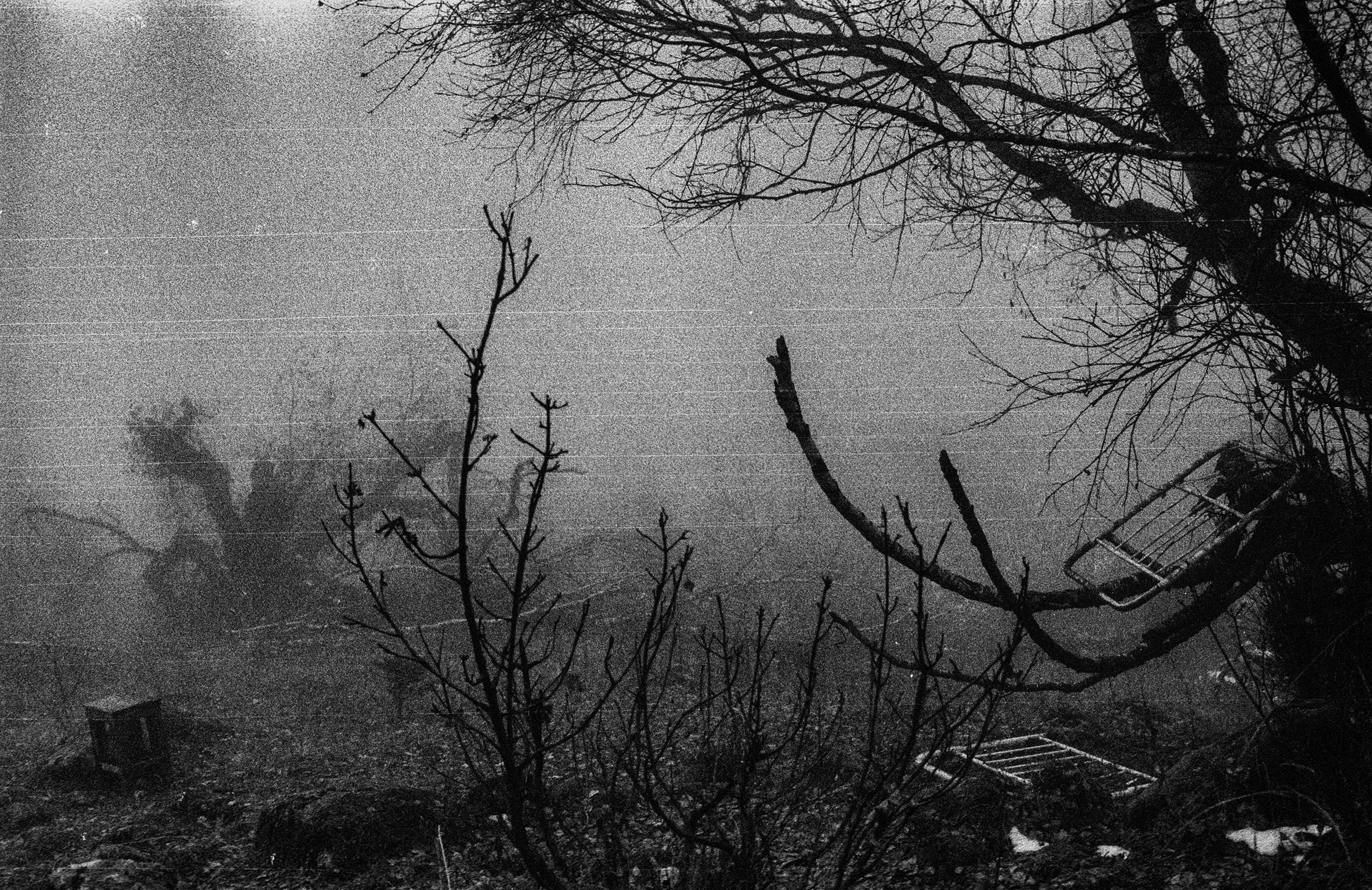 Fog#044