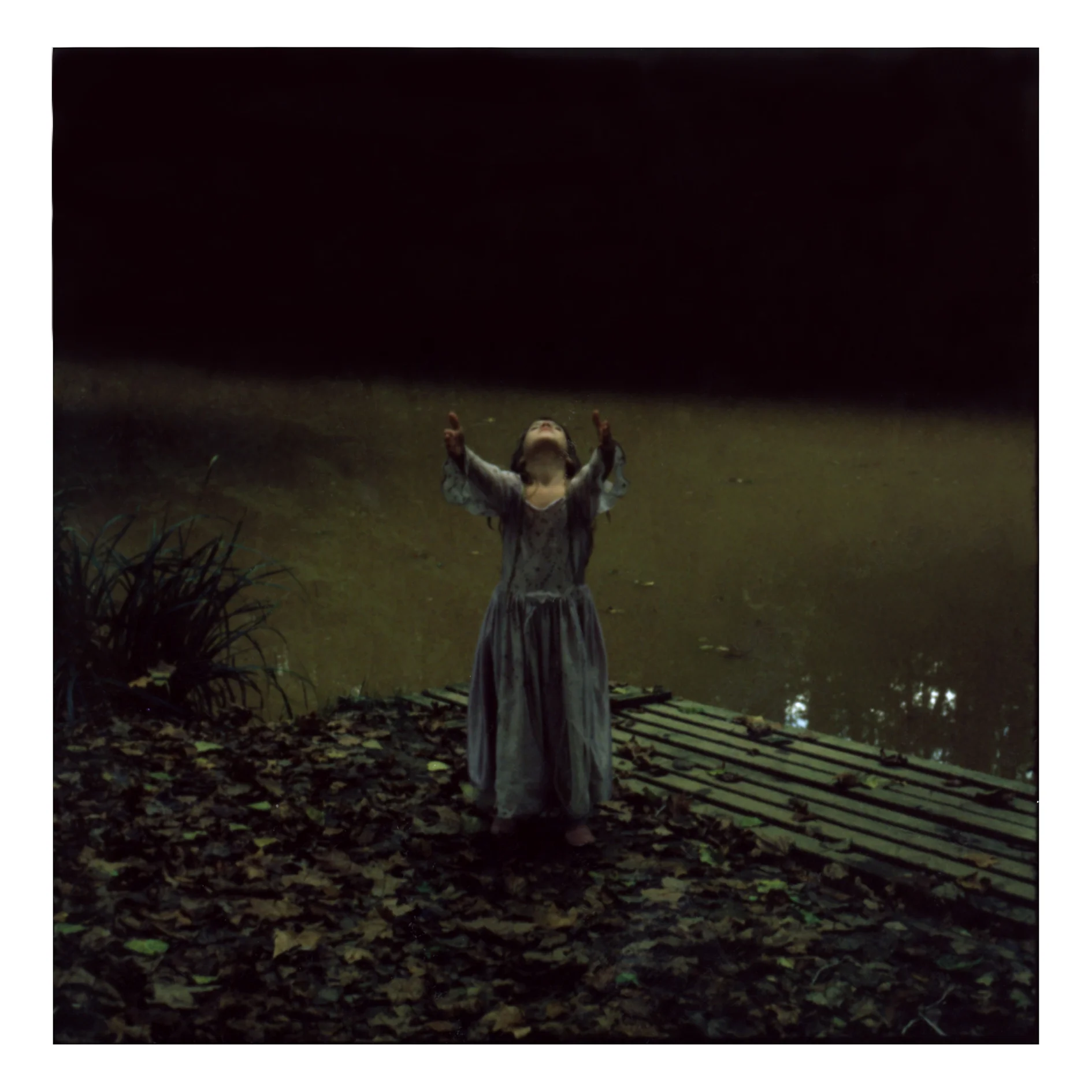 By the Pond