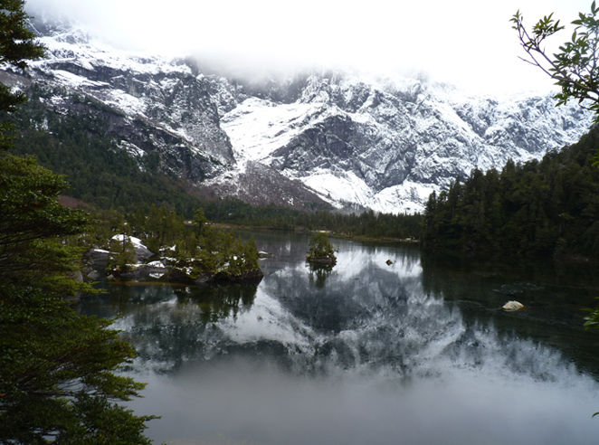 ANDES PATAGÓNICO