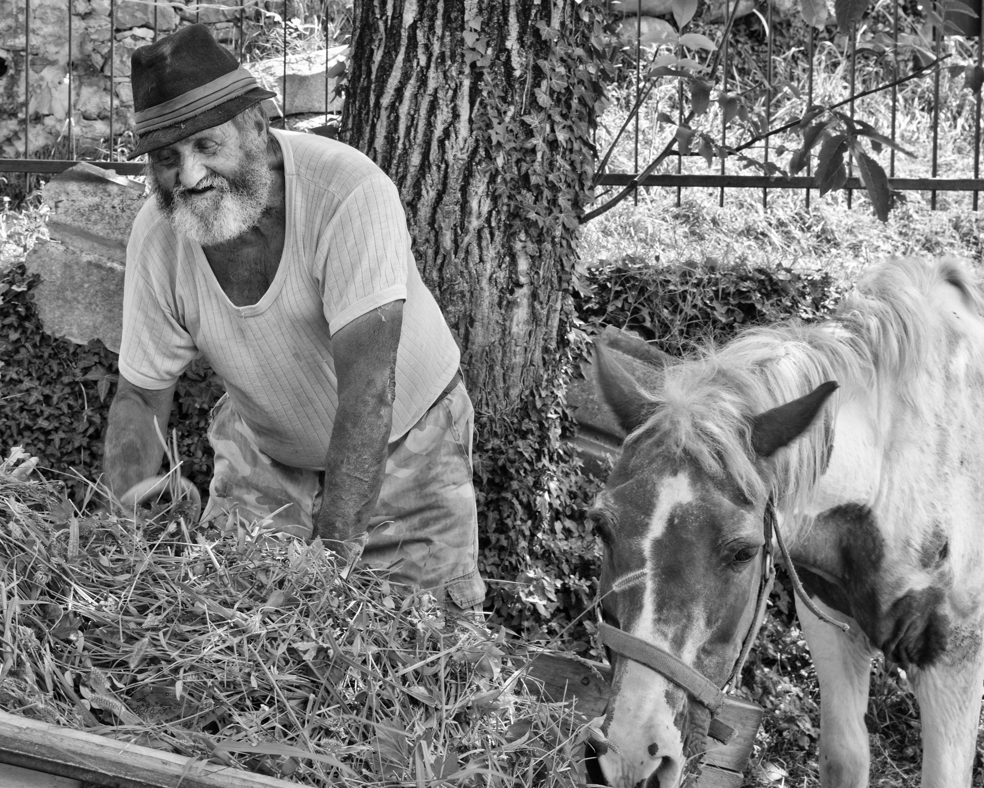 farmer and horse, cividate camuno