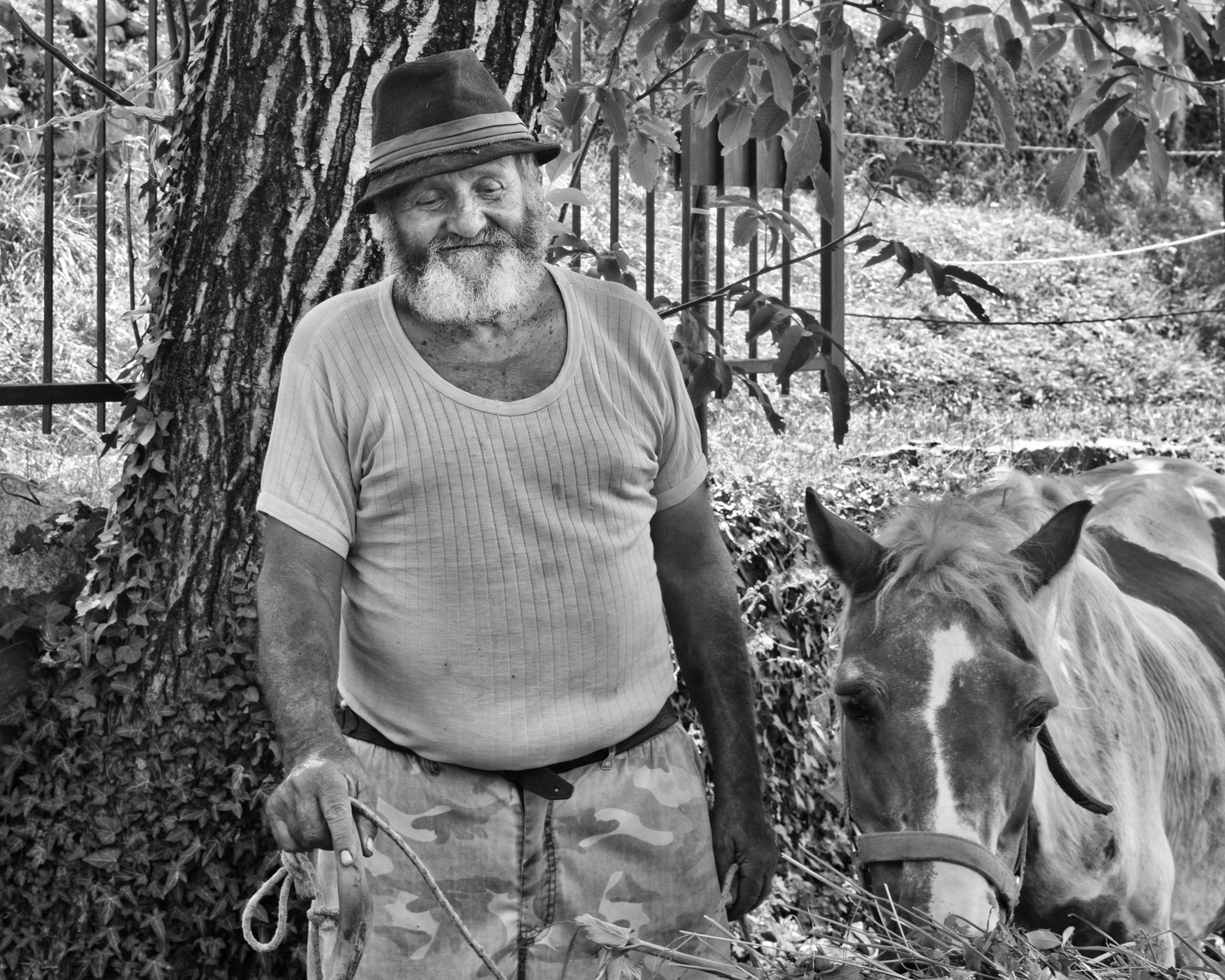 farmer and horse, Cividate Camuno