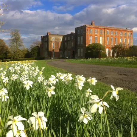 glemhamhall_daffodils.jpg