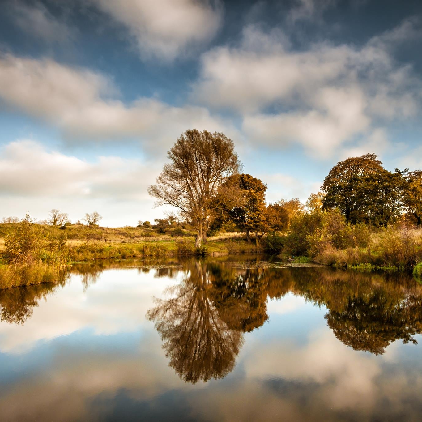 Turvey Nature Reserve