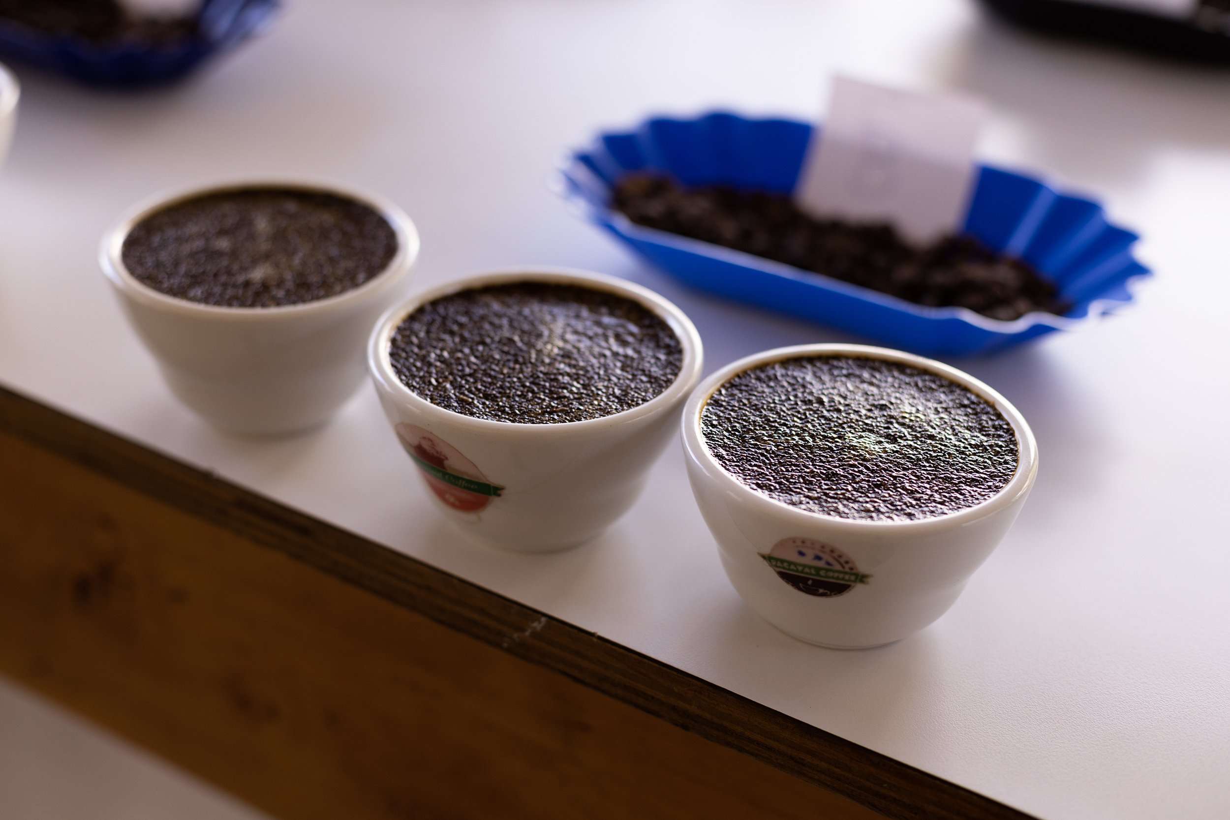  Amazing coffees from Marcala ready to be cupped! 