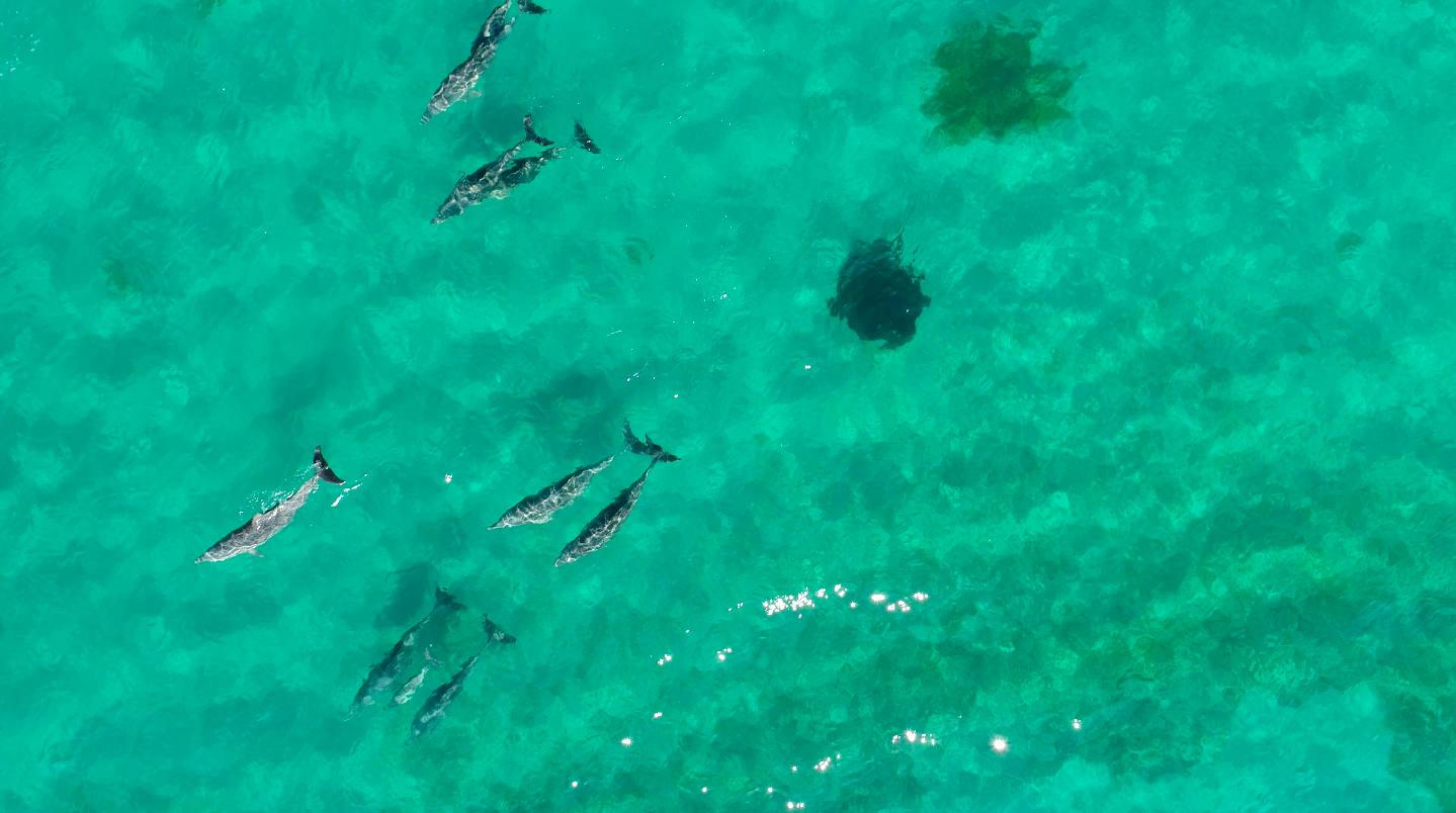 Screen Shot 2017-04-10 at 2.47.56 pm.png