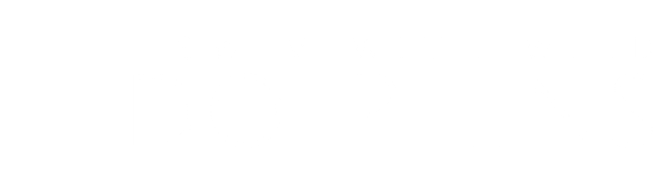 swim with wild dolphins