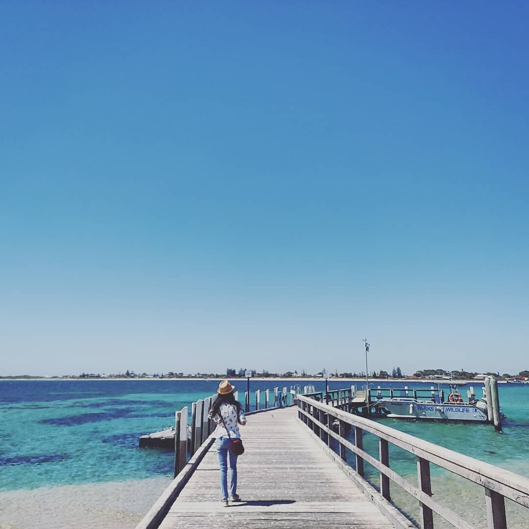 Follow the trail to island bliss as it welcomes you to Penguin Island! 
@angulae captured this picture perfect scene exploring the largest island amongst the Shoalwater Islands Marine Park. Home to a vibrant array of #wildlife; #dolphins, #penguins a