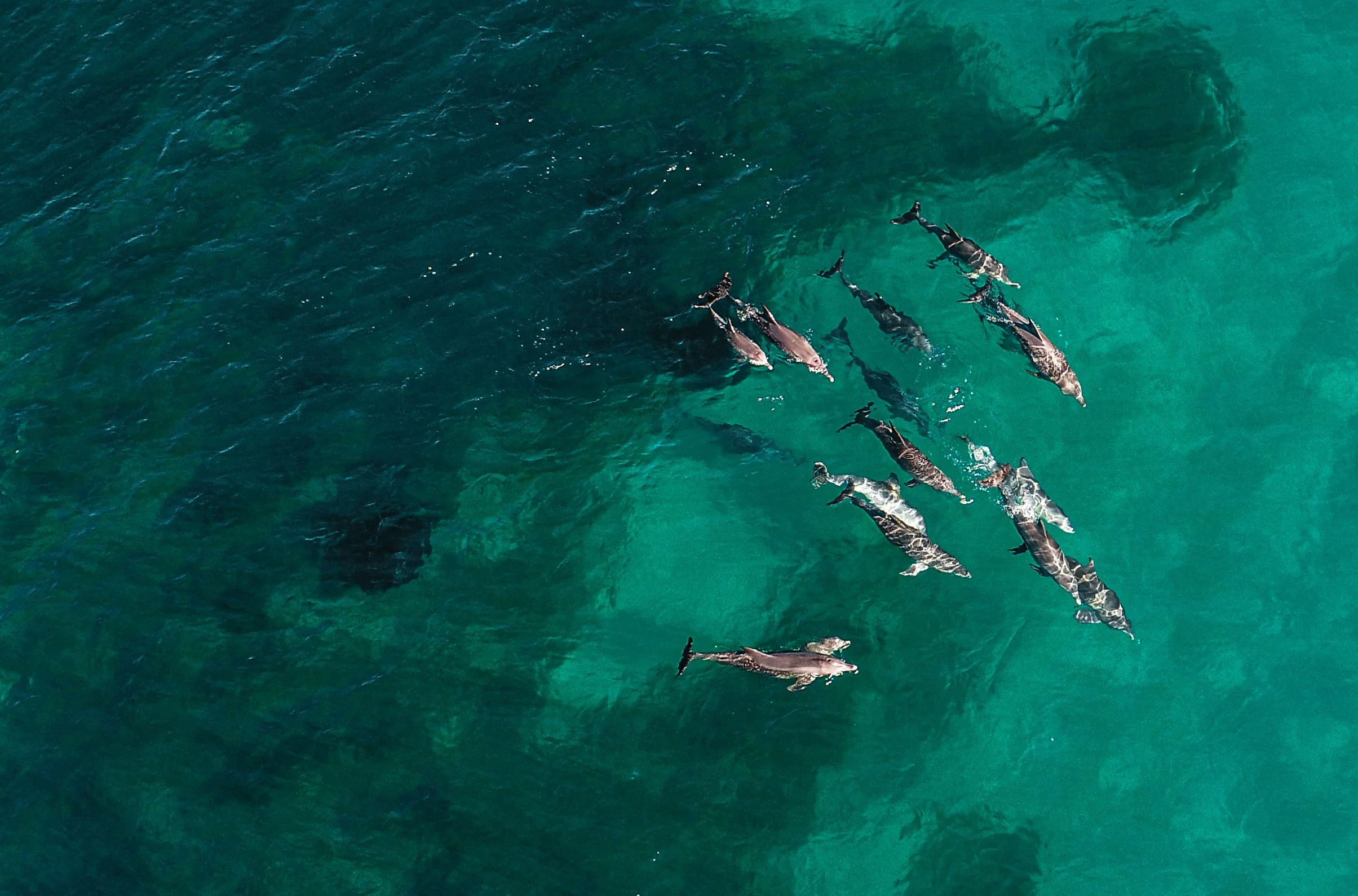 DJI_0022.jpg