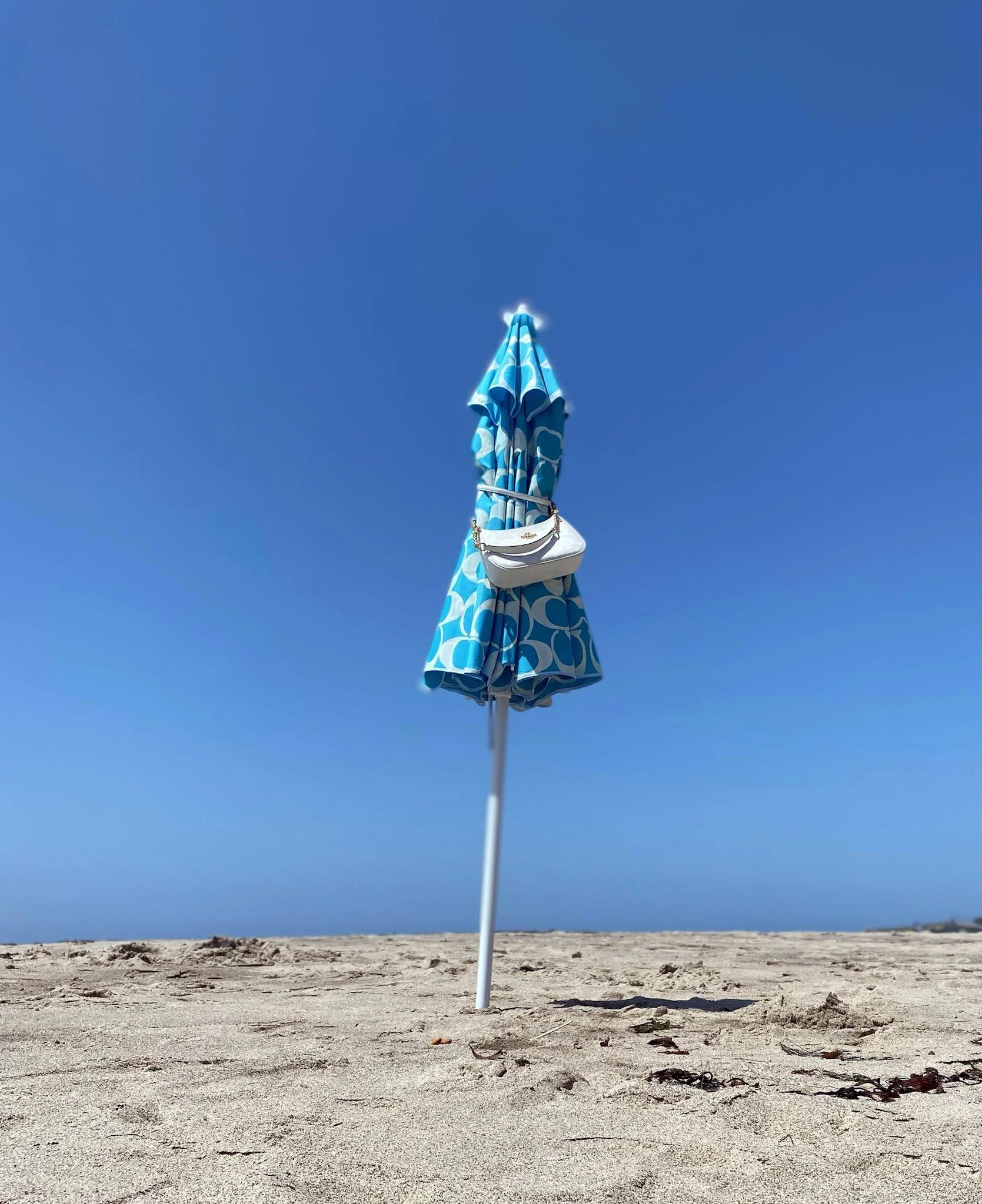 handpainted coach umbrella 2.jpg