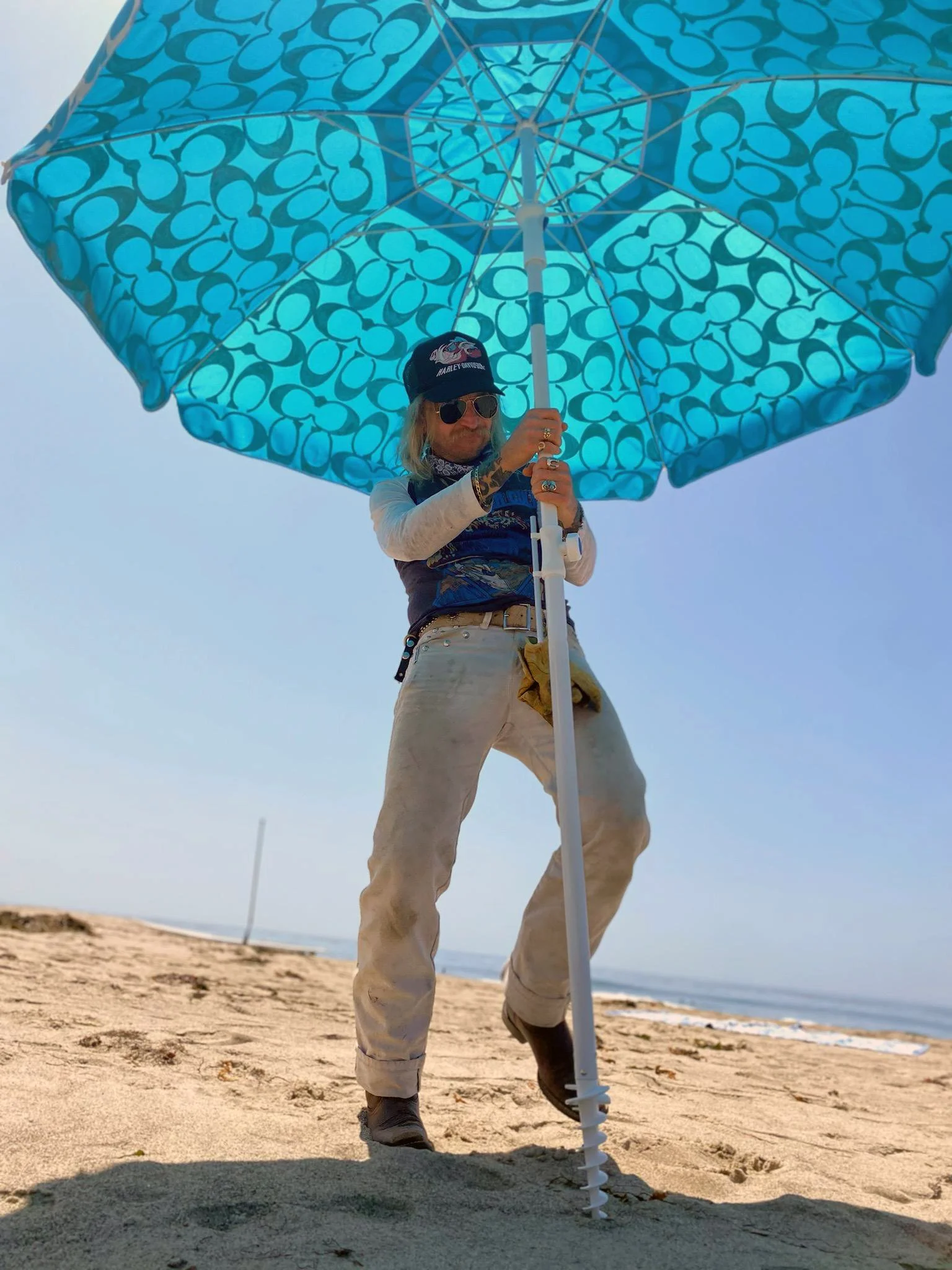 handpainted coach umbrella.jpg