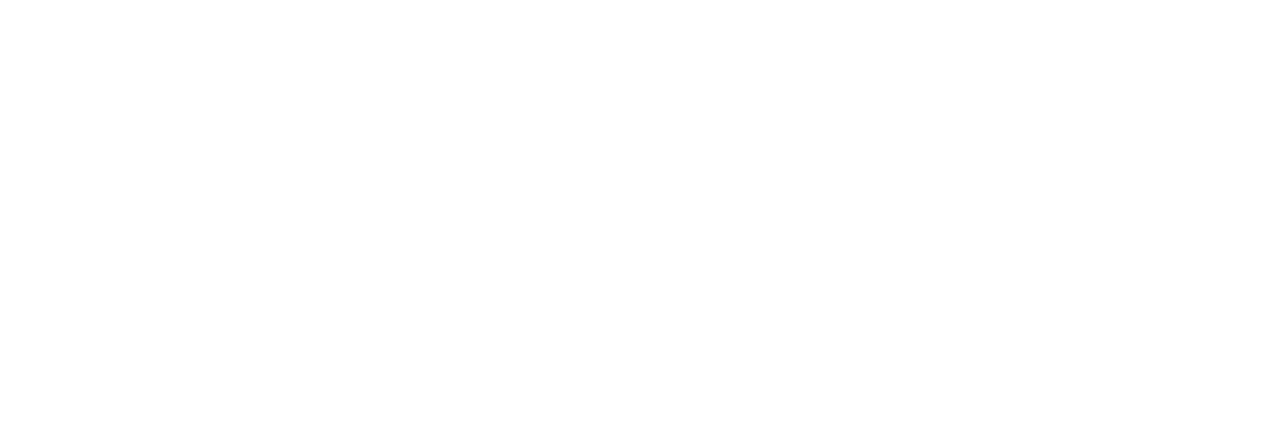 Precision Training Group