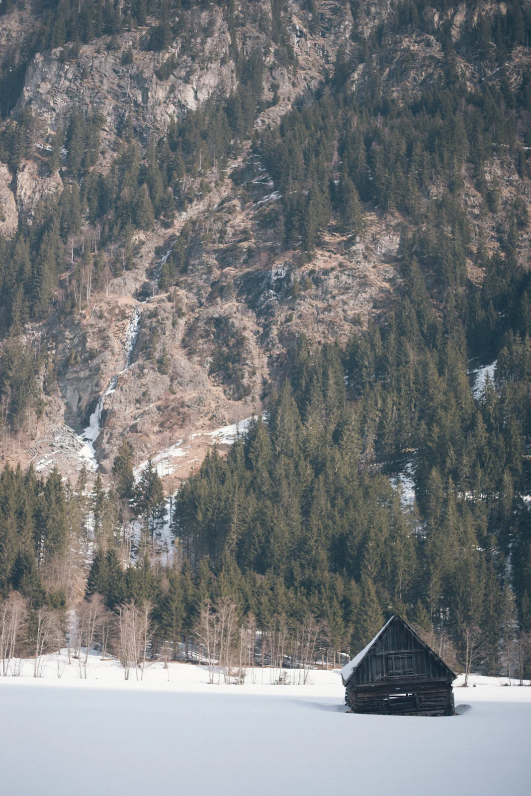 DSC_4613.jpg