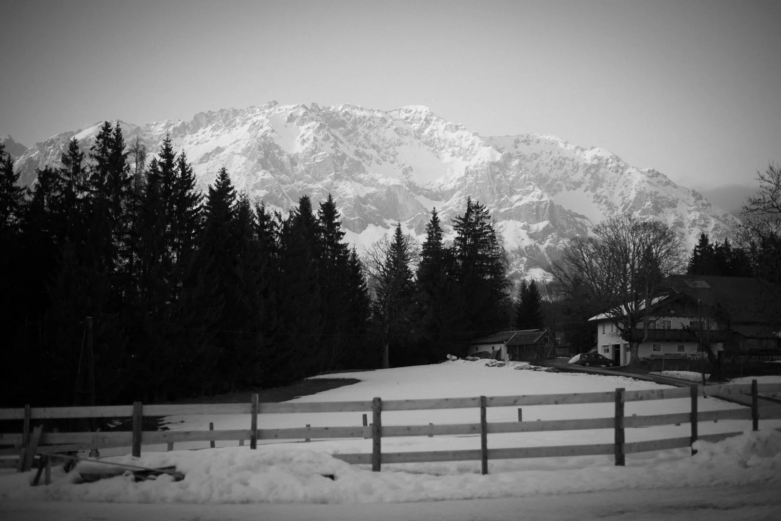DSC_4693.jpg
