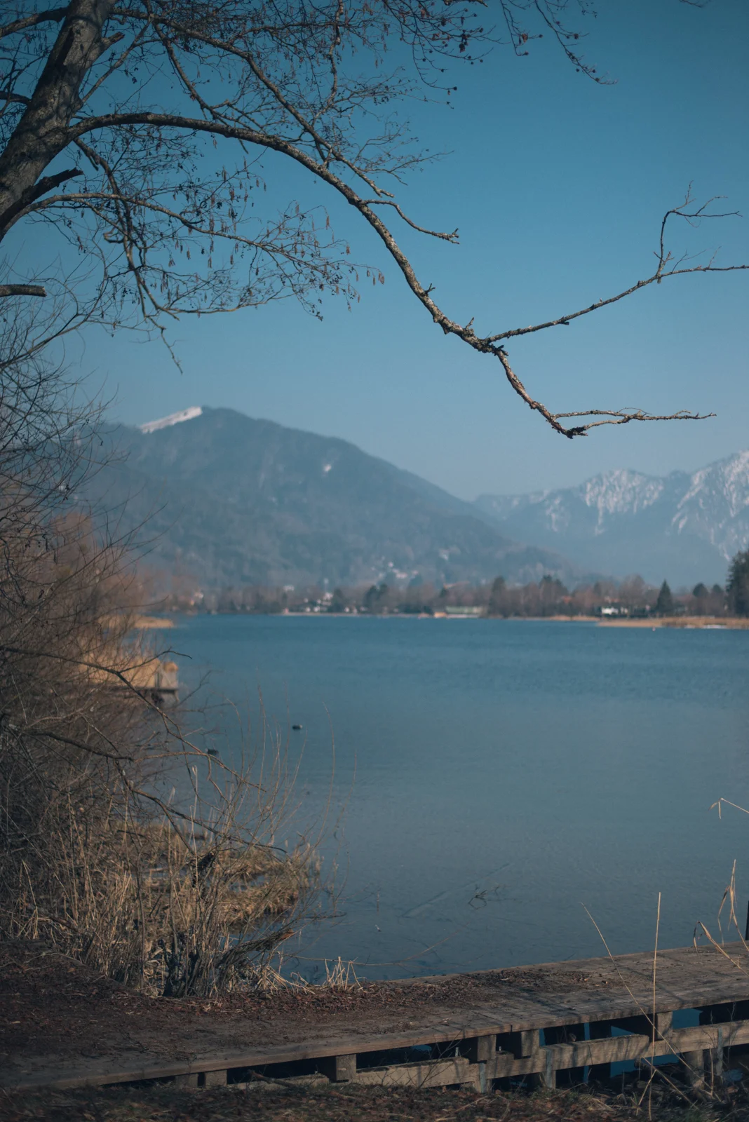 DSC_5022.jpg