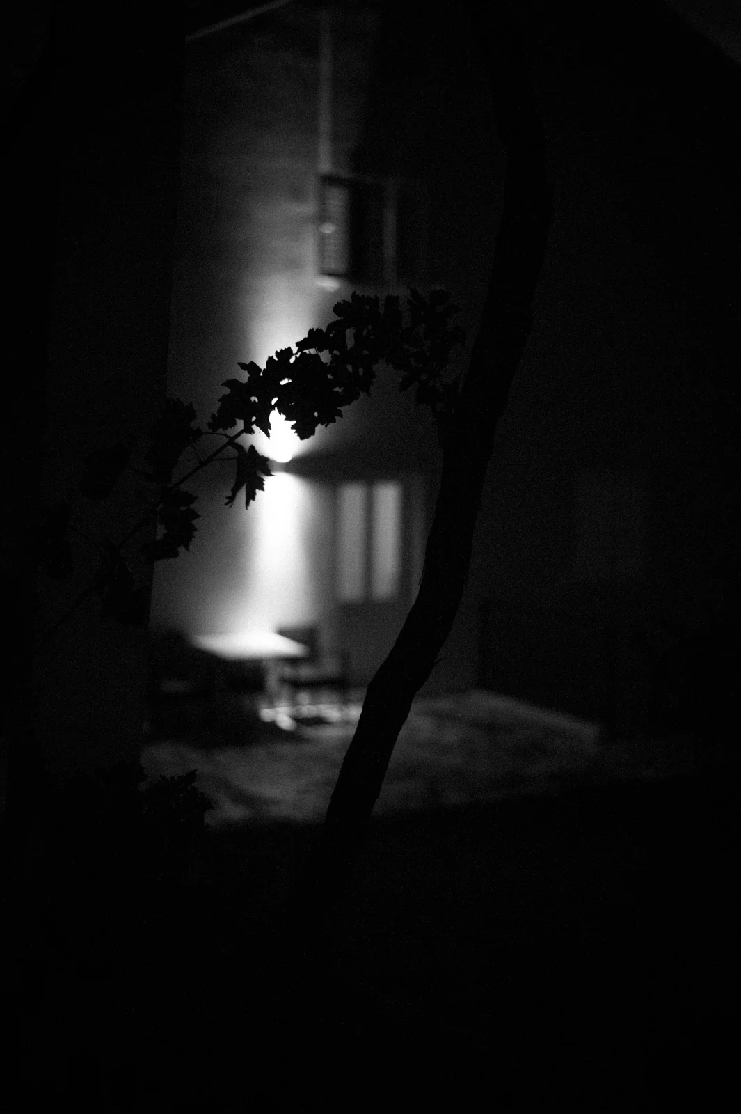 016.jpg