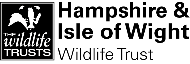 Logo - HIWWT landscape logo on left_black text_transparent background.png