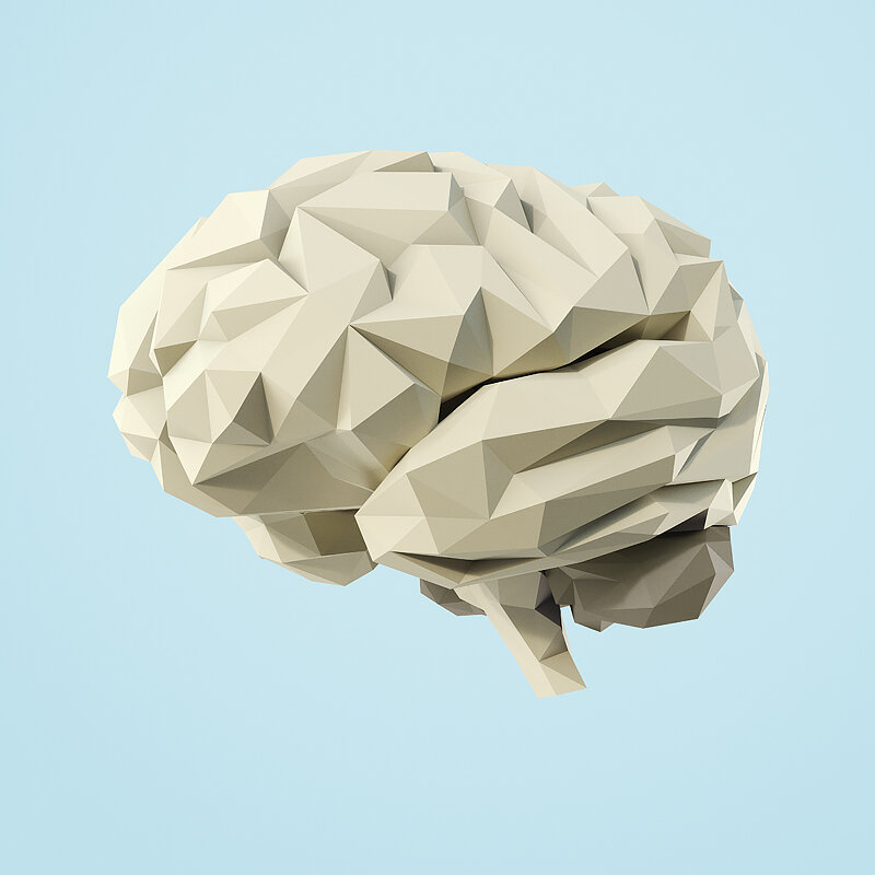 ORIGAMI BRAIN 