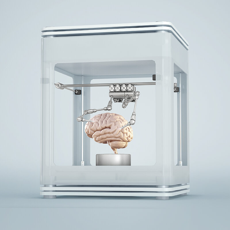 3D PRINT BRAIN