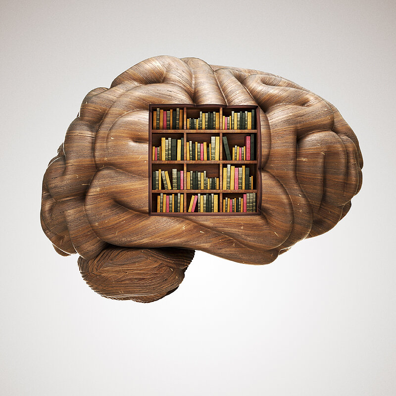 BOOKCASE BRAIN 2.0