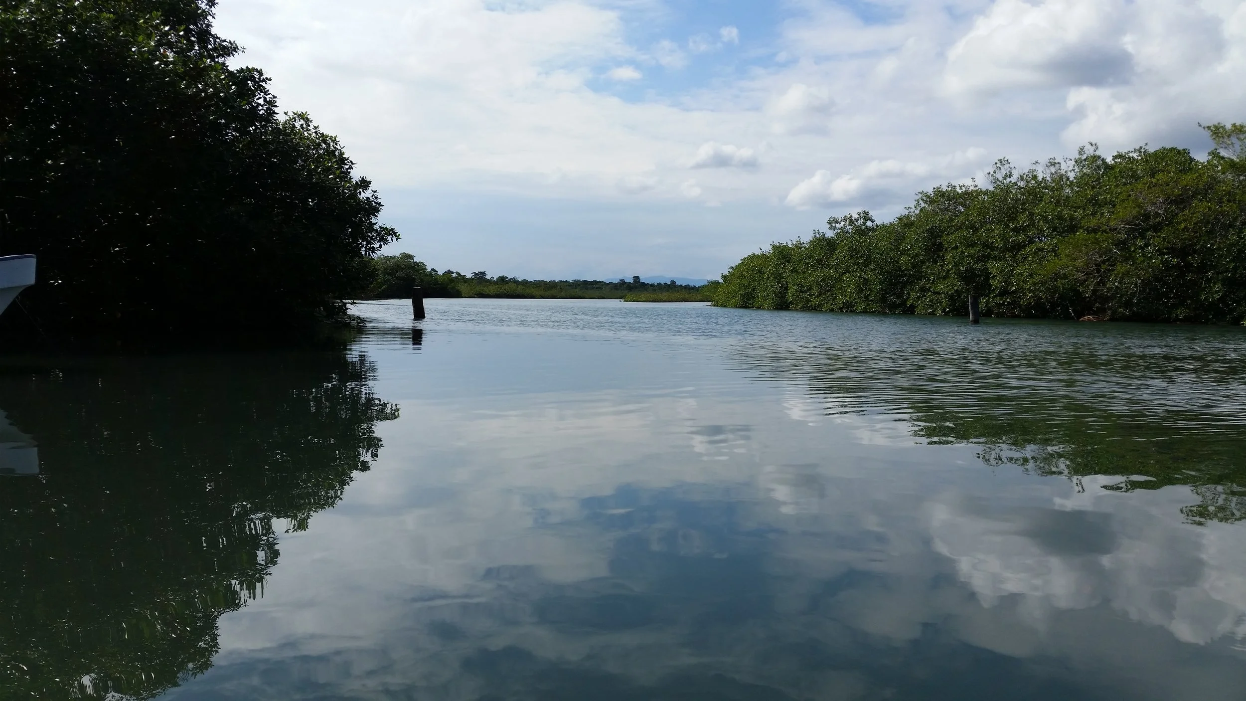 Boat taxi views into Placencia