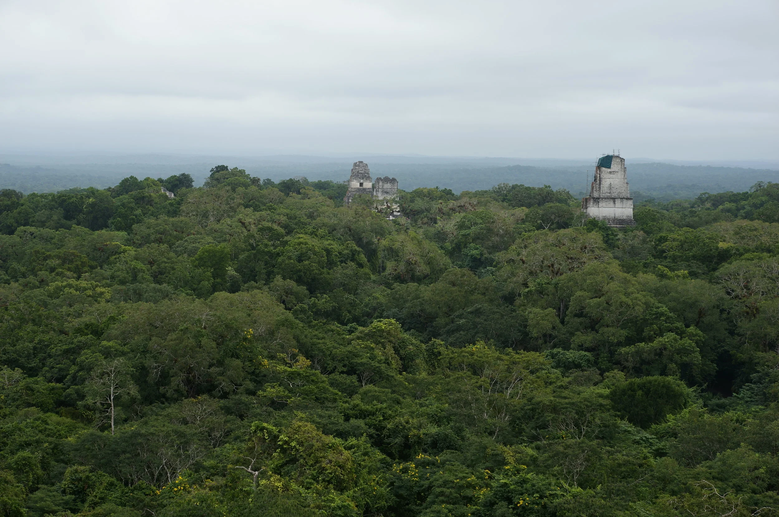 Belize Part 1: Welcome to the Jungle