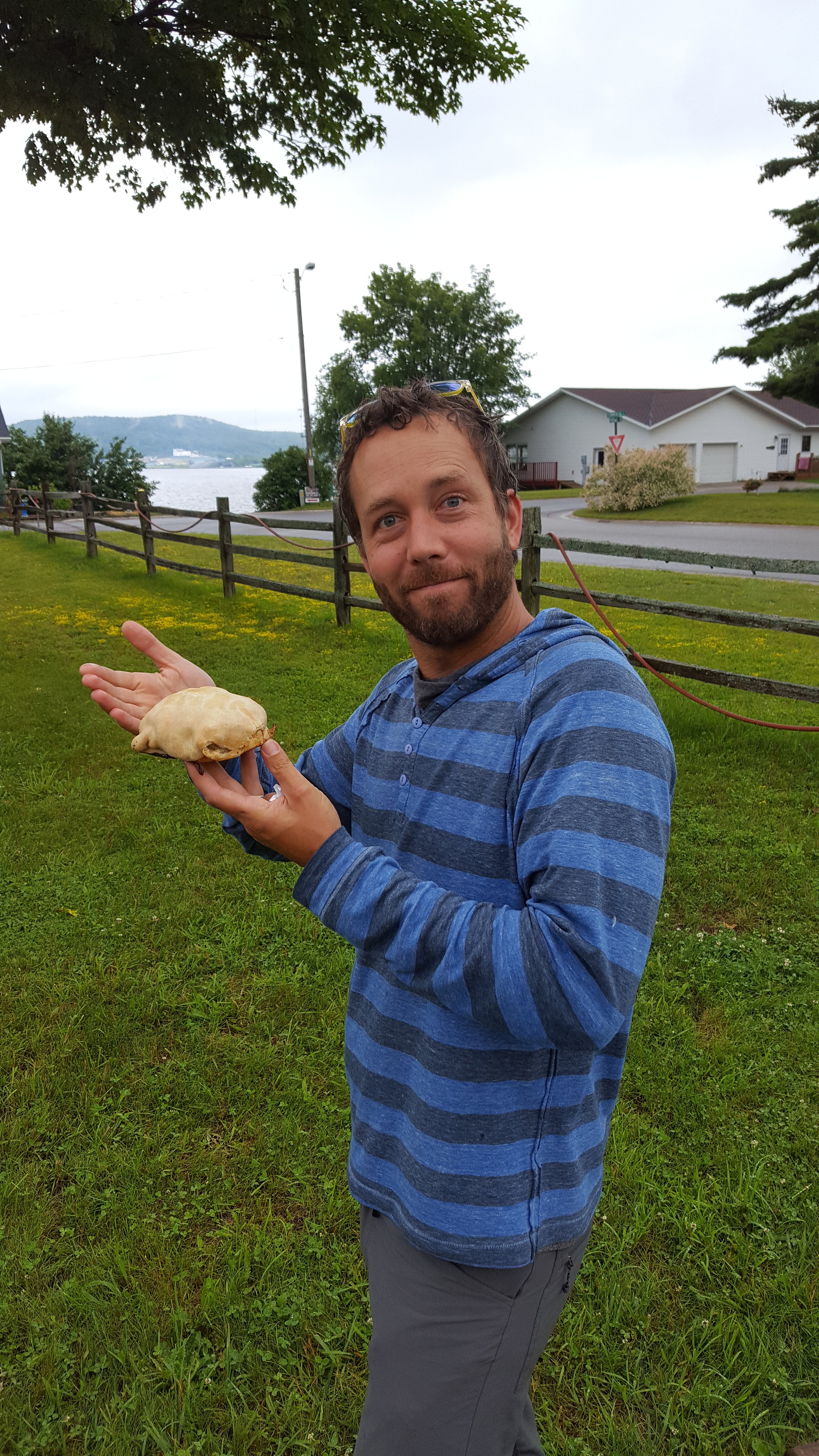 We did not want to leave the U.P. without eating a meat-filled pasty. Yes, I said pasty. It was SO good. 