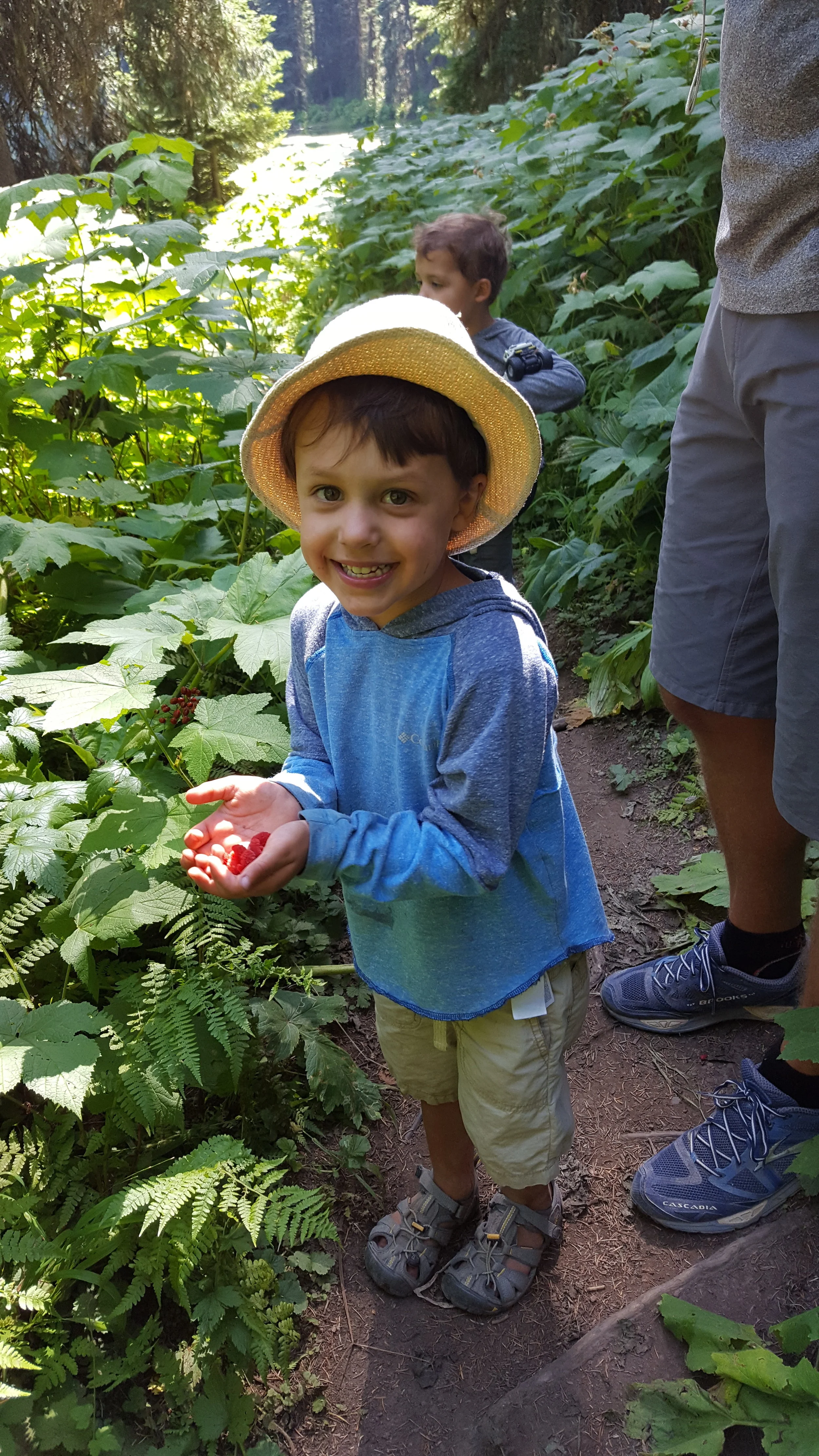 Thimbleberry hunting. They look like raspberries and taste just as yummy.