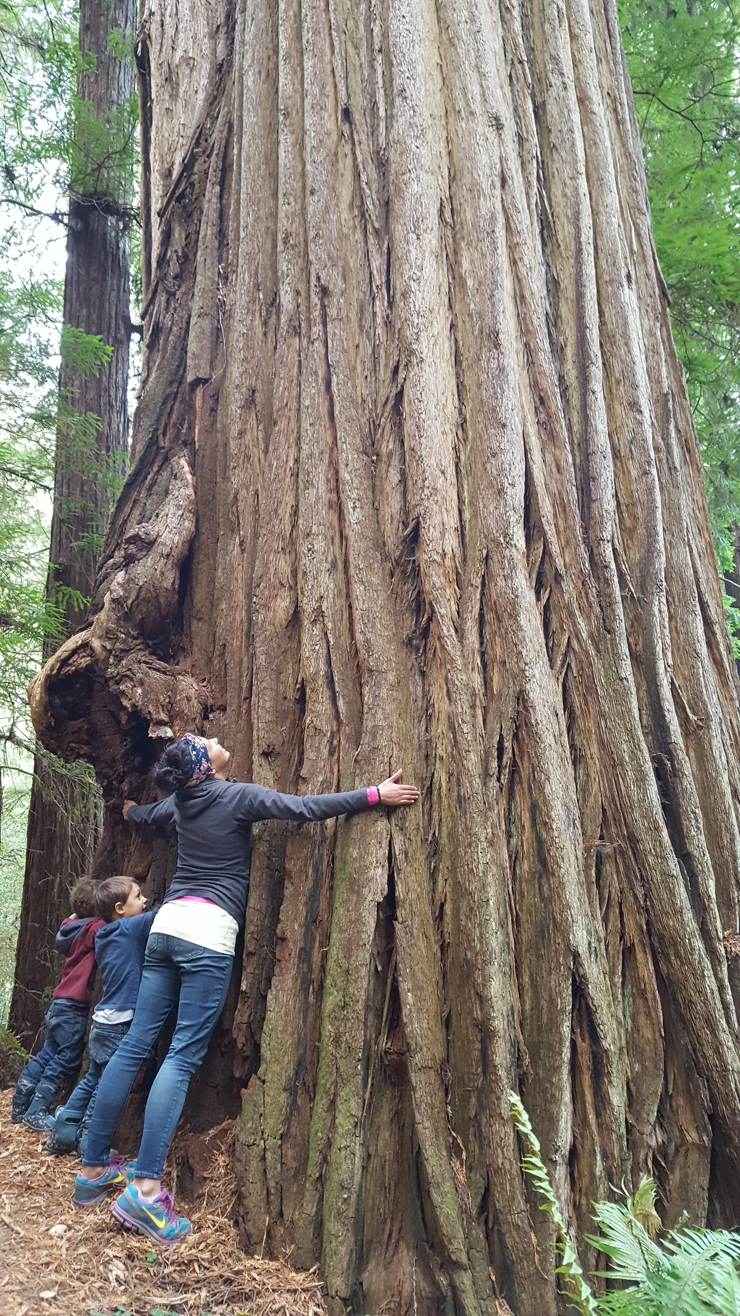 We gave a little squeeze to this one that sat right along the trail.