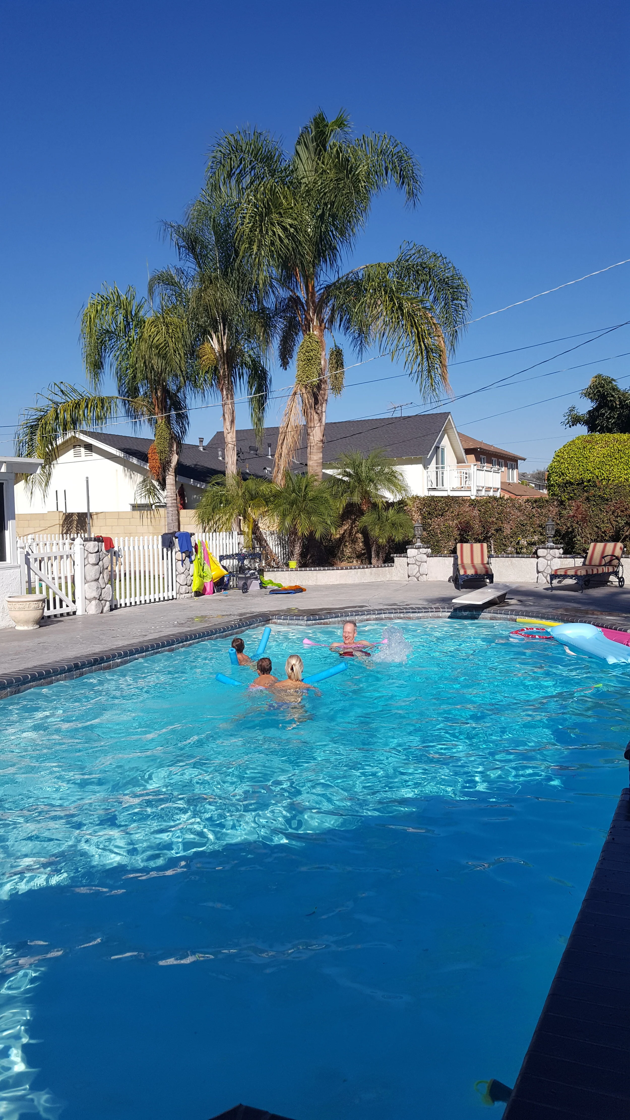 Our pool for the week - all day. Every day. 