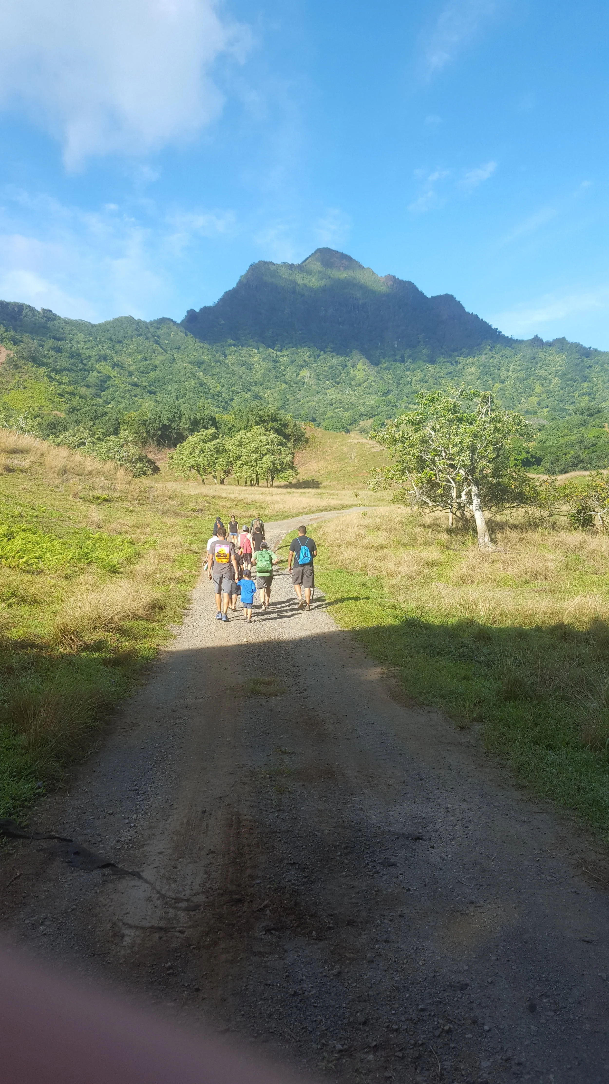 The group hiking in.