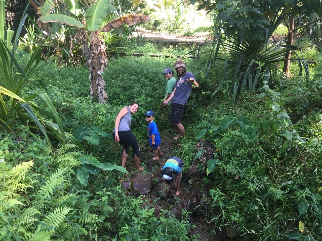 Weeding, weeding, and, you guessed it, more weeding...