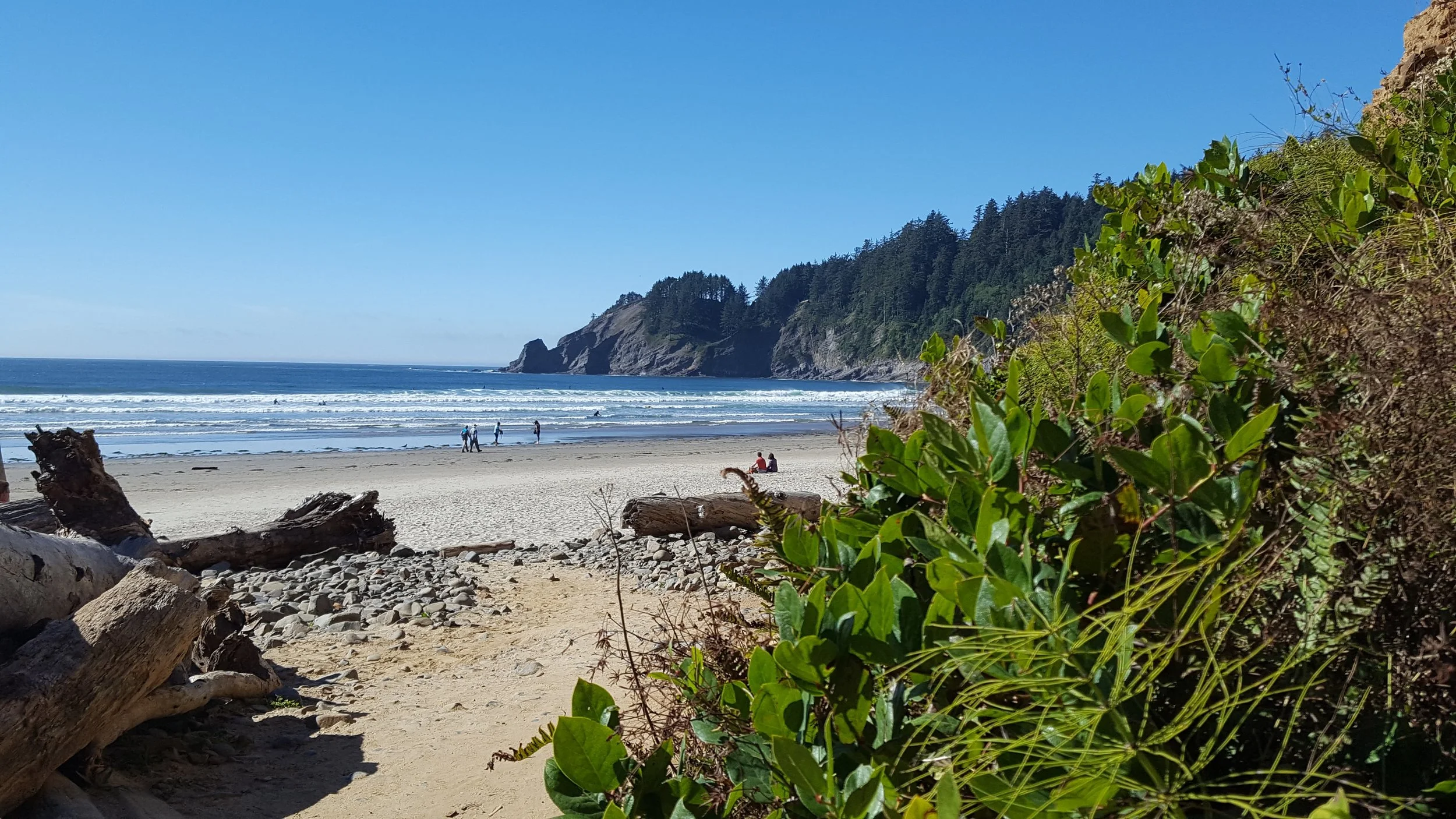 Short Sand Beach where Chip surfed nearly every single day. A great place for him to get his feet wet! Chip: "I've never had so much fun being absolutely terrible at something."