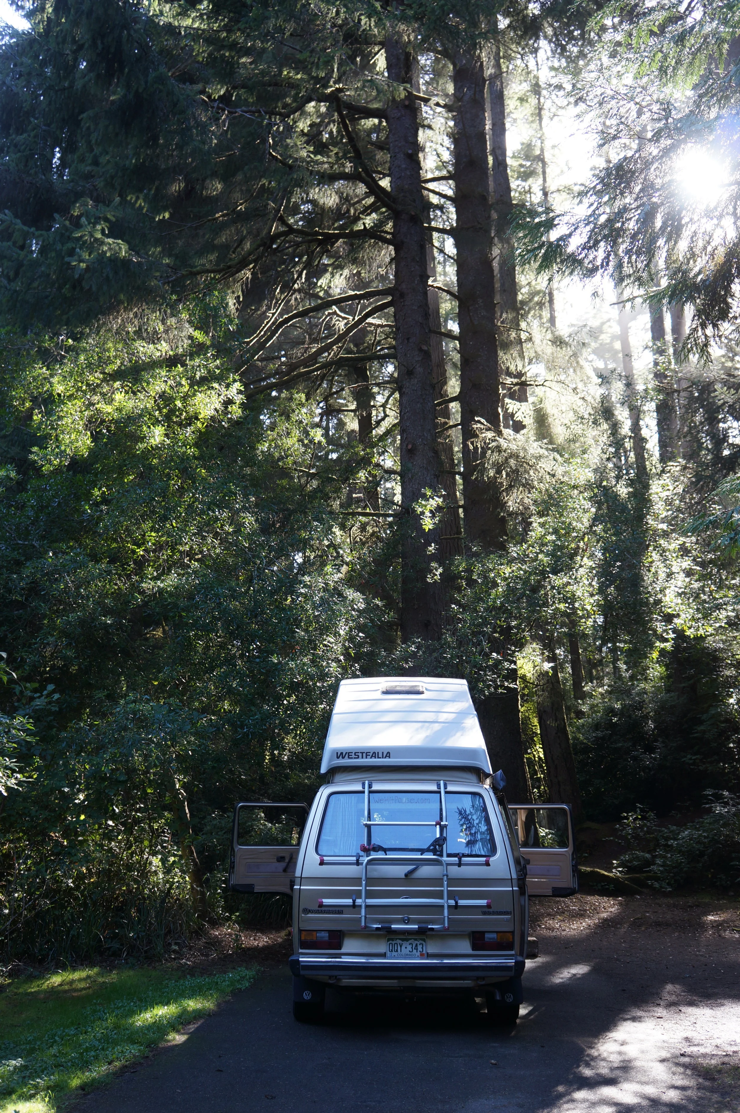 We loved this campsite, and park, and sand dunes that were just beyond those trees