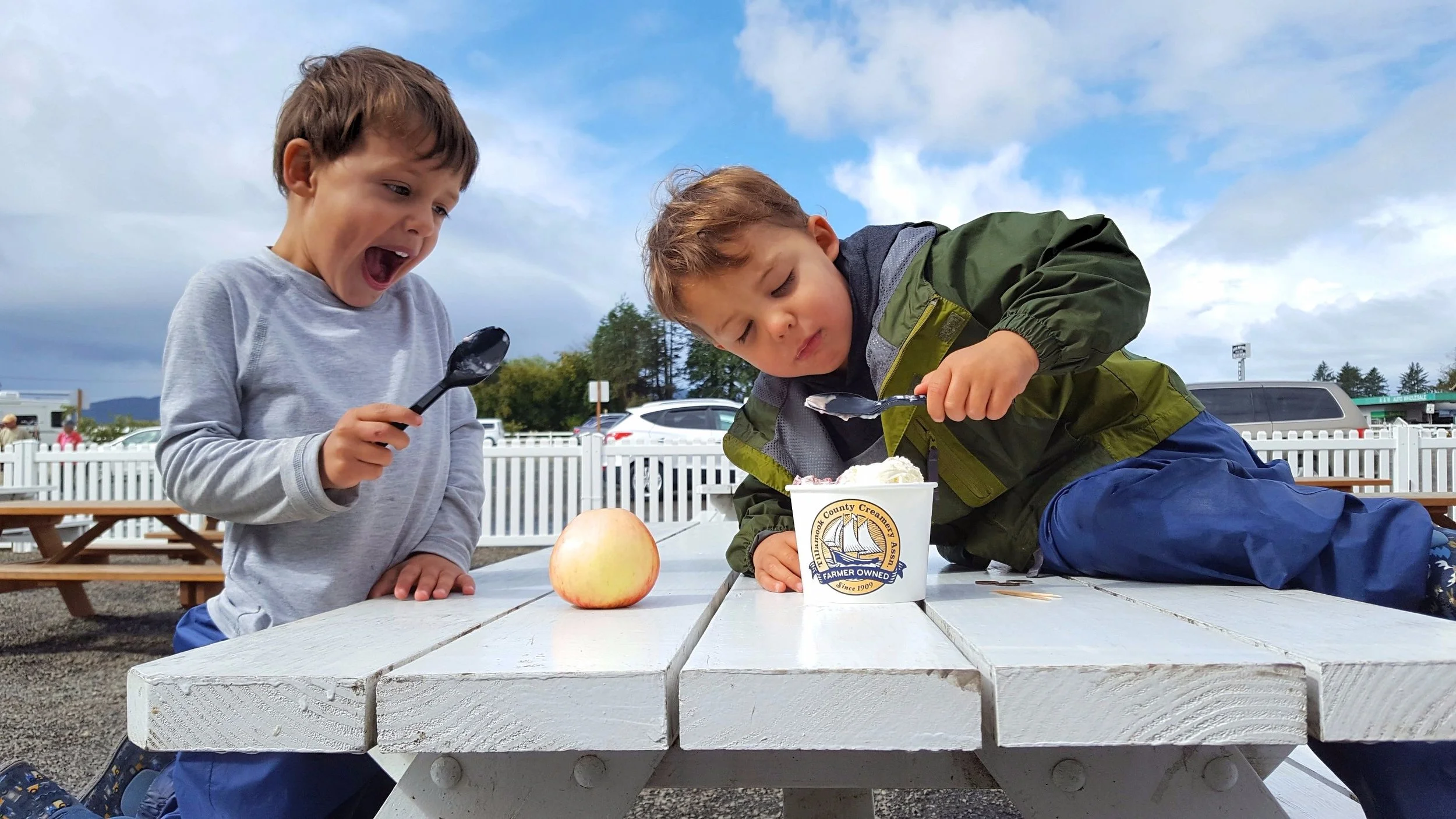 Gee, should I go for the apple or ice cream????? Tough choice.
