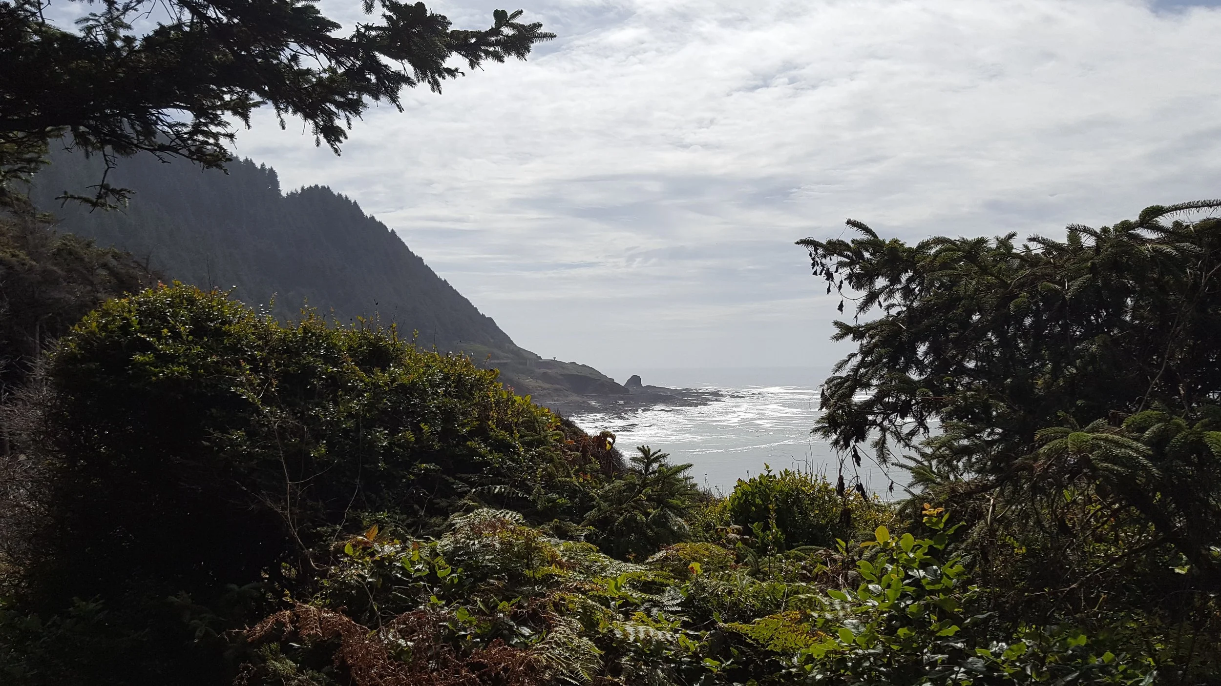 A viewpoint at Devil's Churn looking south.