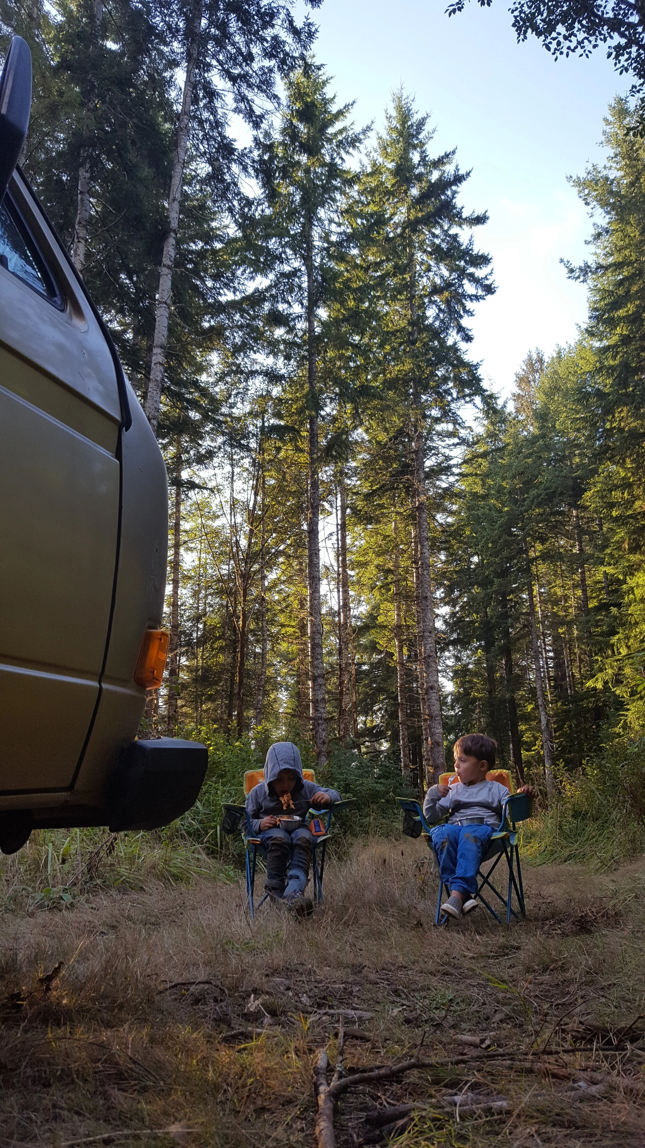 suislawnationalforest.jpg