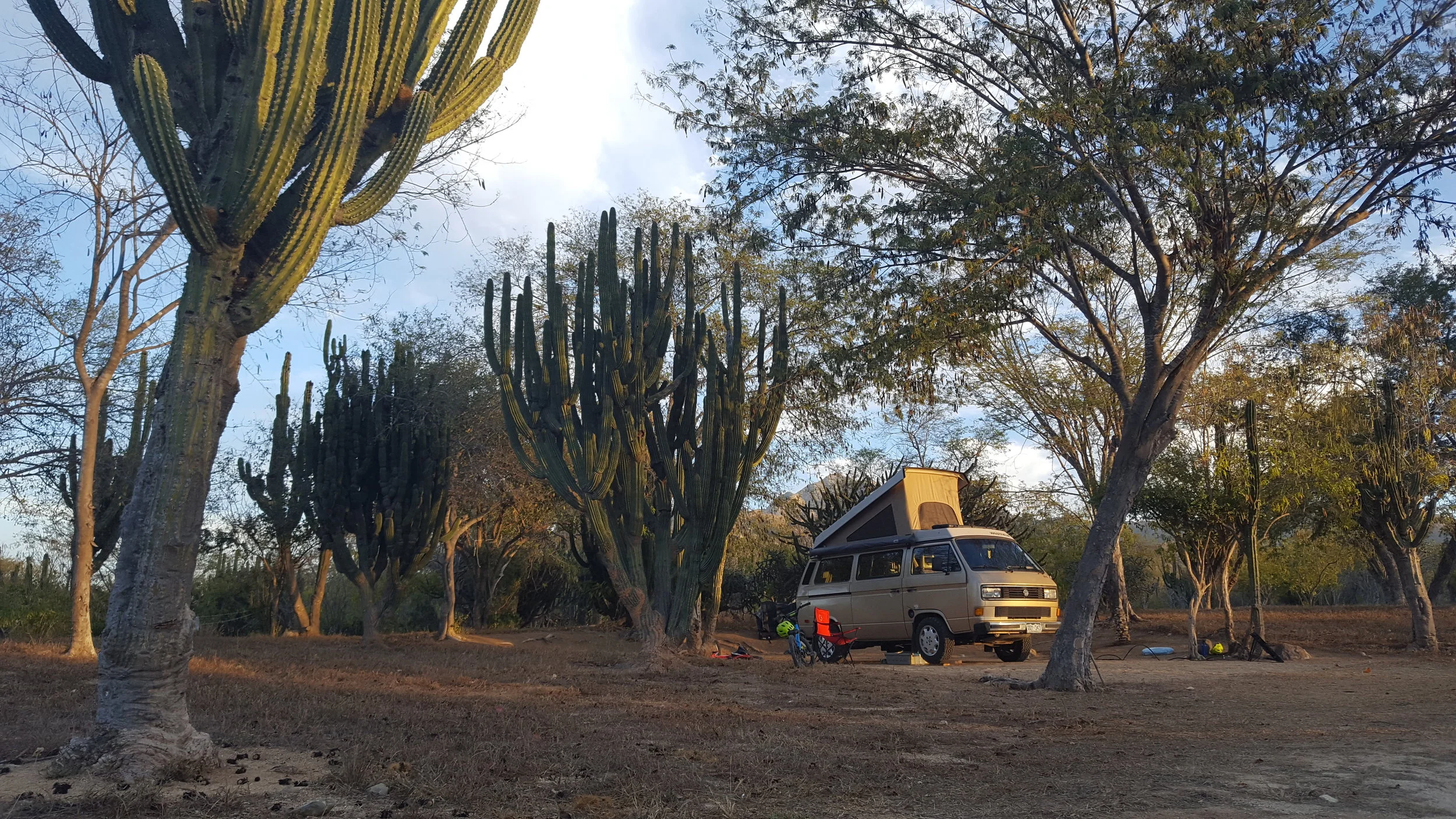 Our Baja campsite among the cacti. An all-time favorite.