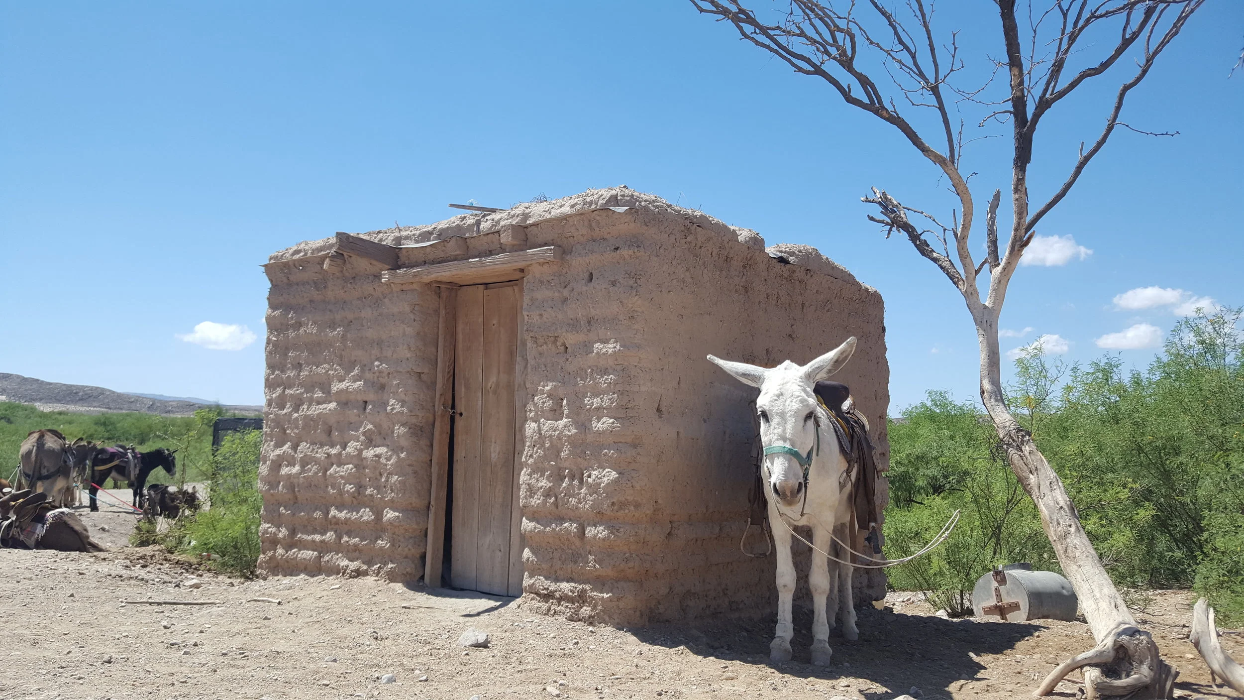 boquillasdonkey.jpg