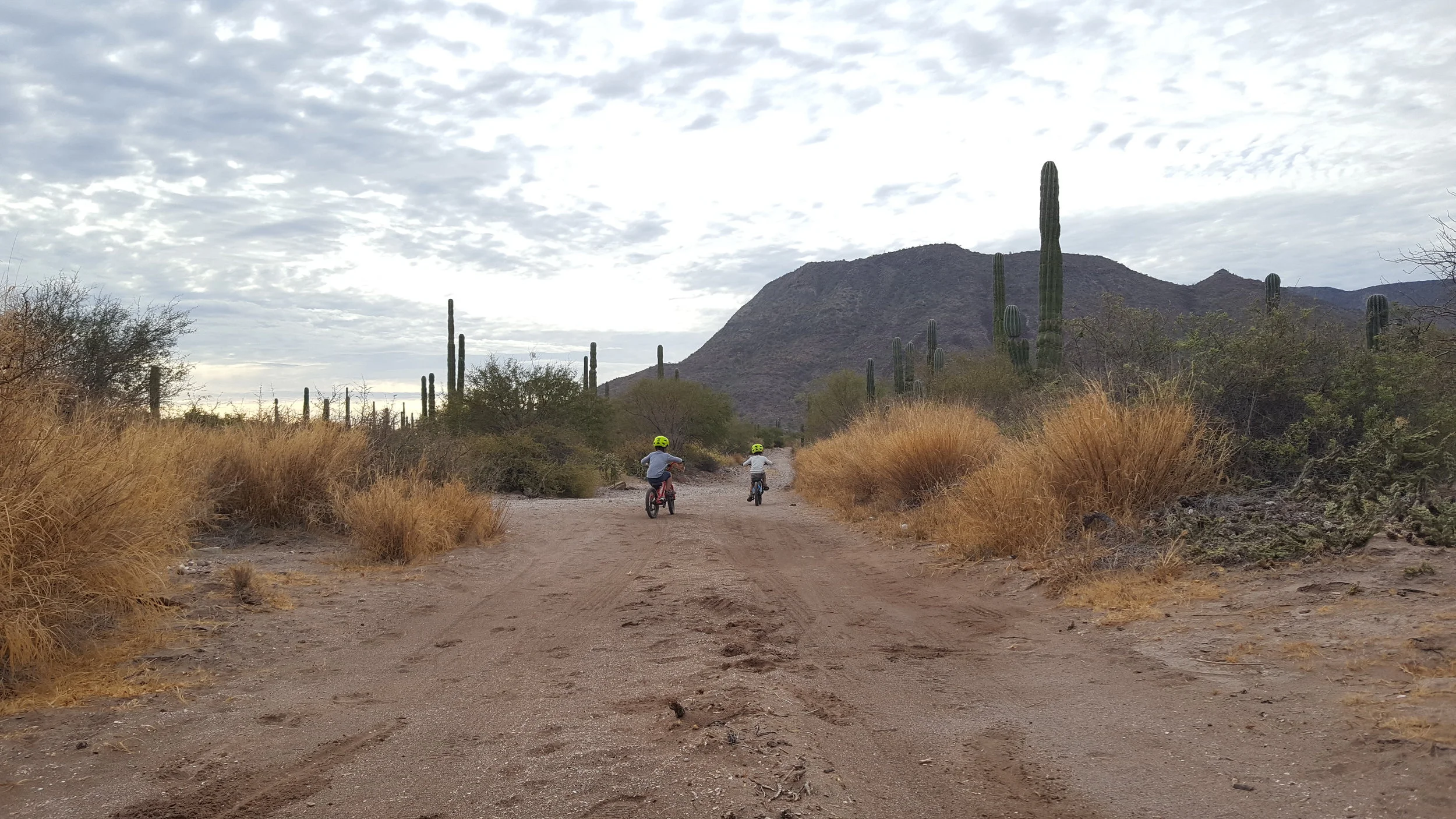 Our daily morning activity - the boys bike, I run.