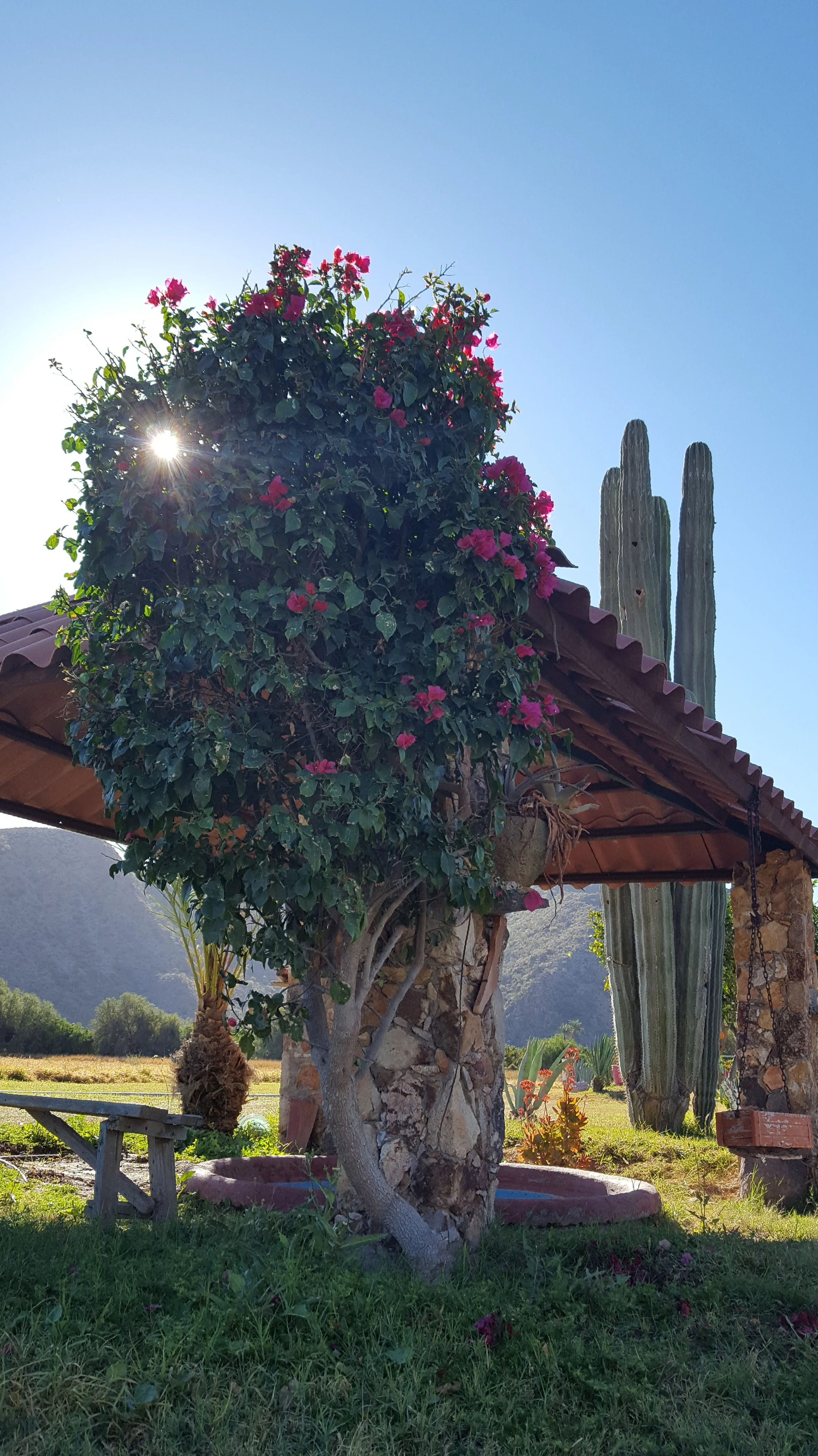 Does it get any more picturesque than this?!