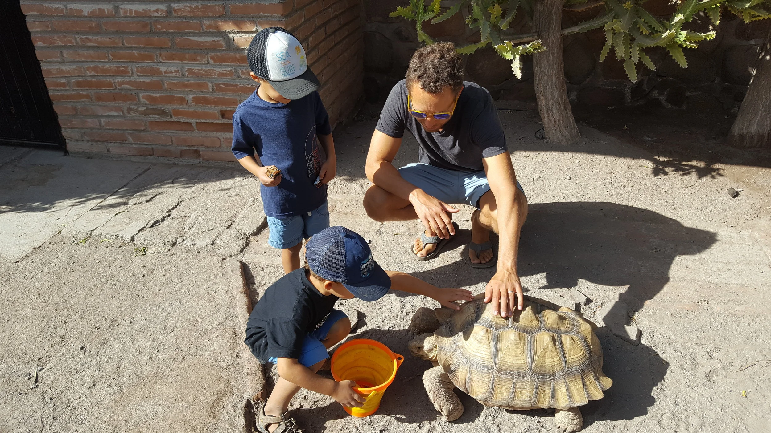 A campground regular brought us to a woman's house because we "had to see this tortoise!" He was a hoot (came opening the screen door on his own to come greet us!)