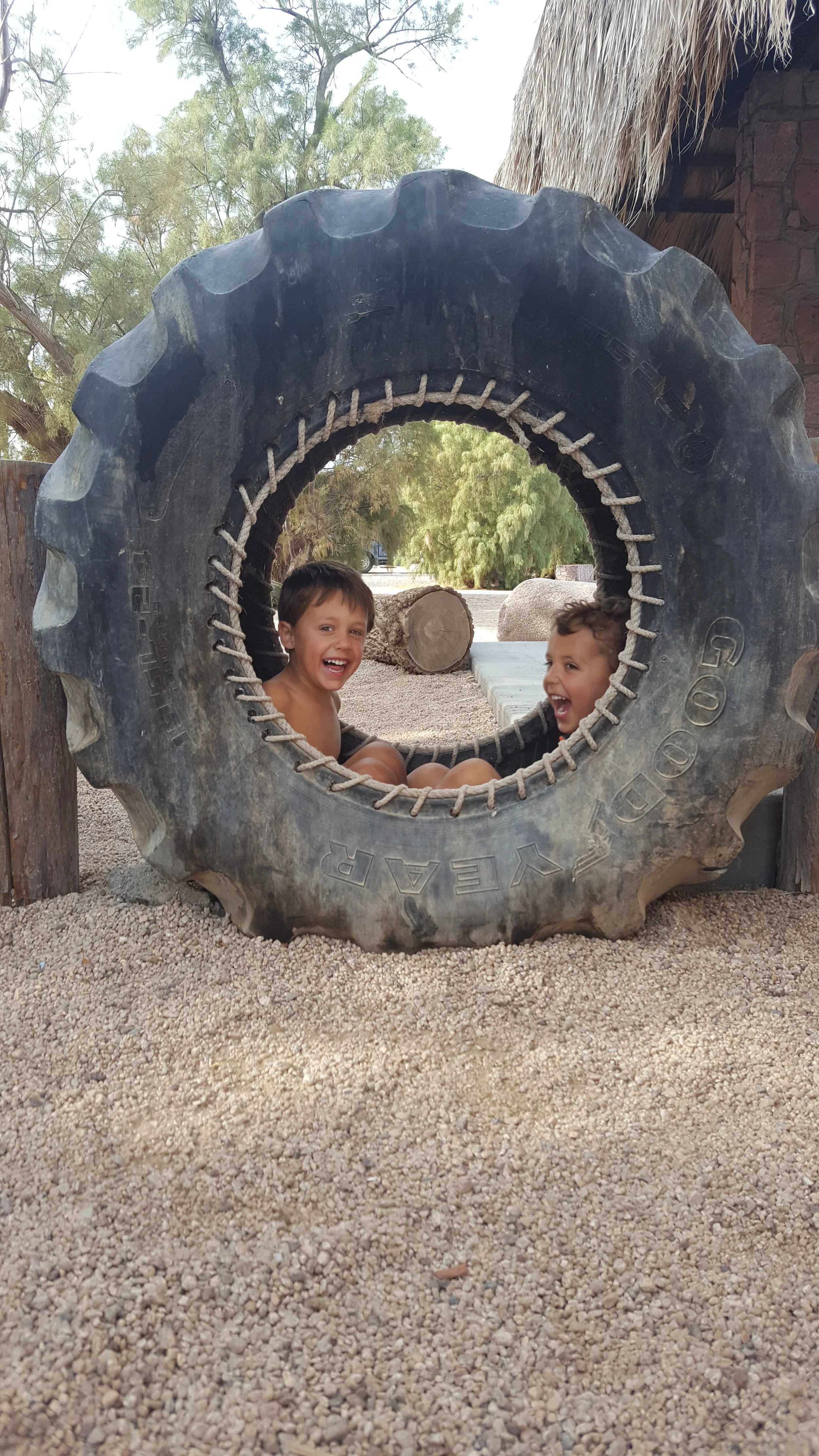 The jibs playing hide and seek!