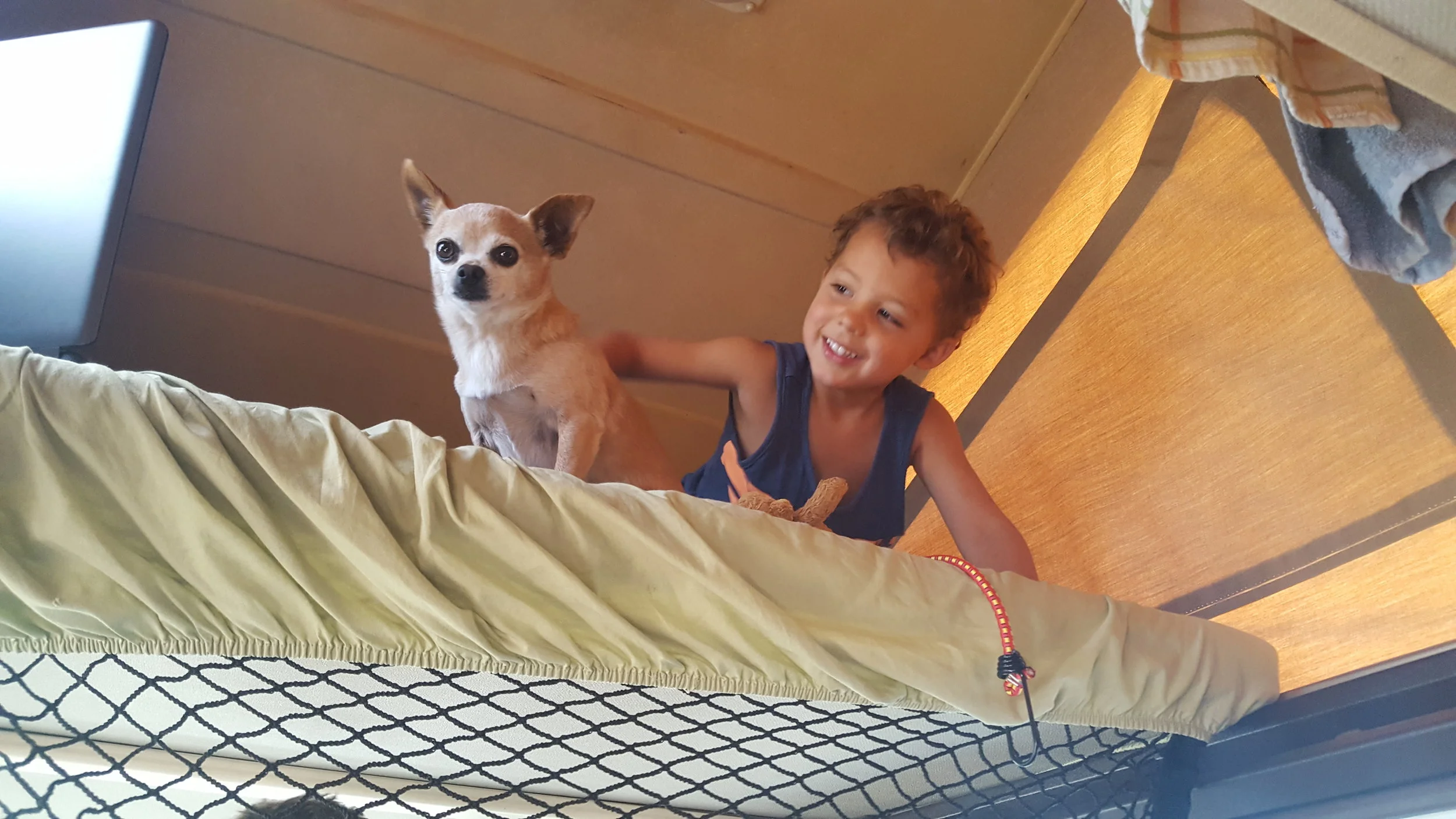 Inviting Goonie to the top bunk!