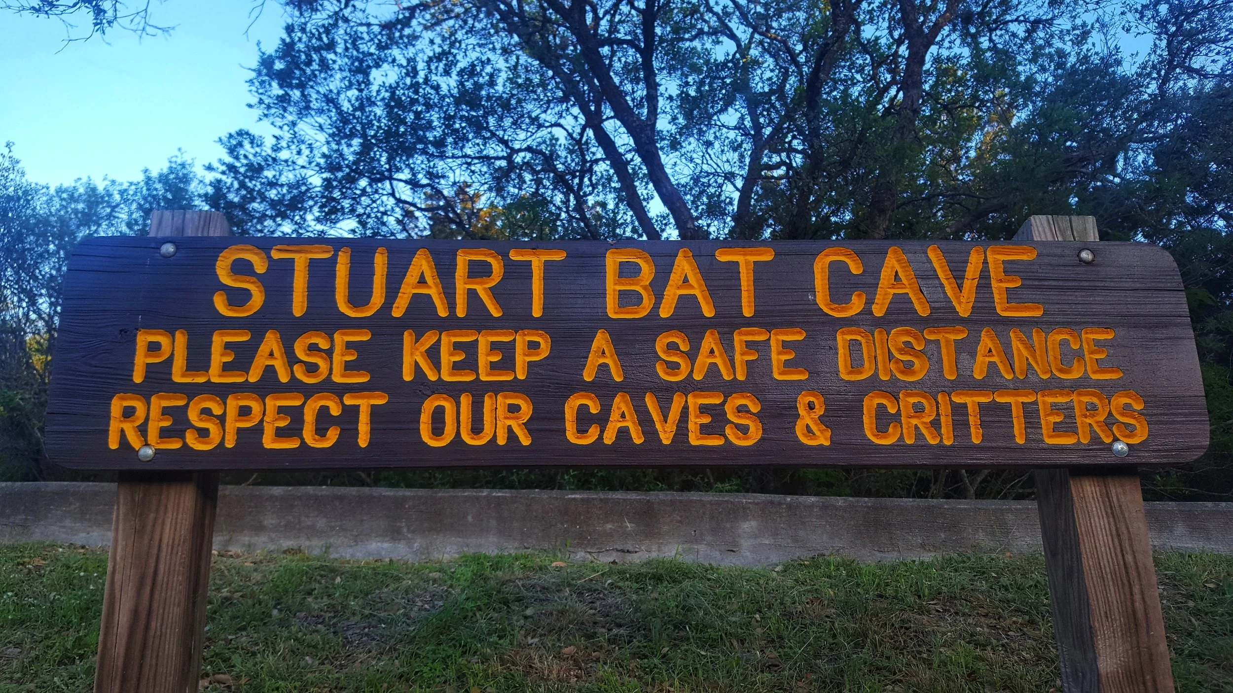 stuartbatcave.jpg