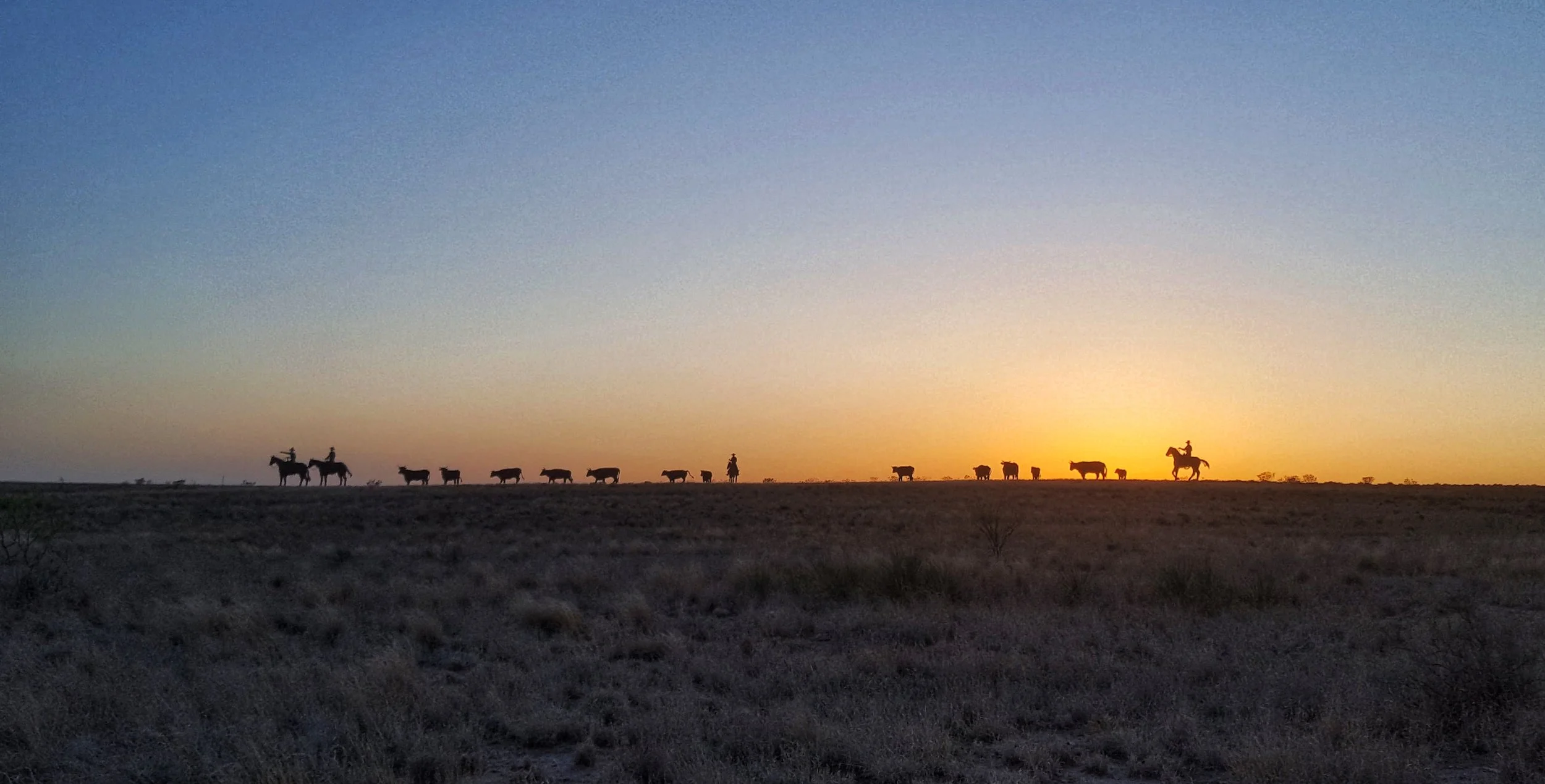 "The Trail Ahead" sculptures from afar.